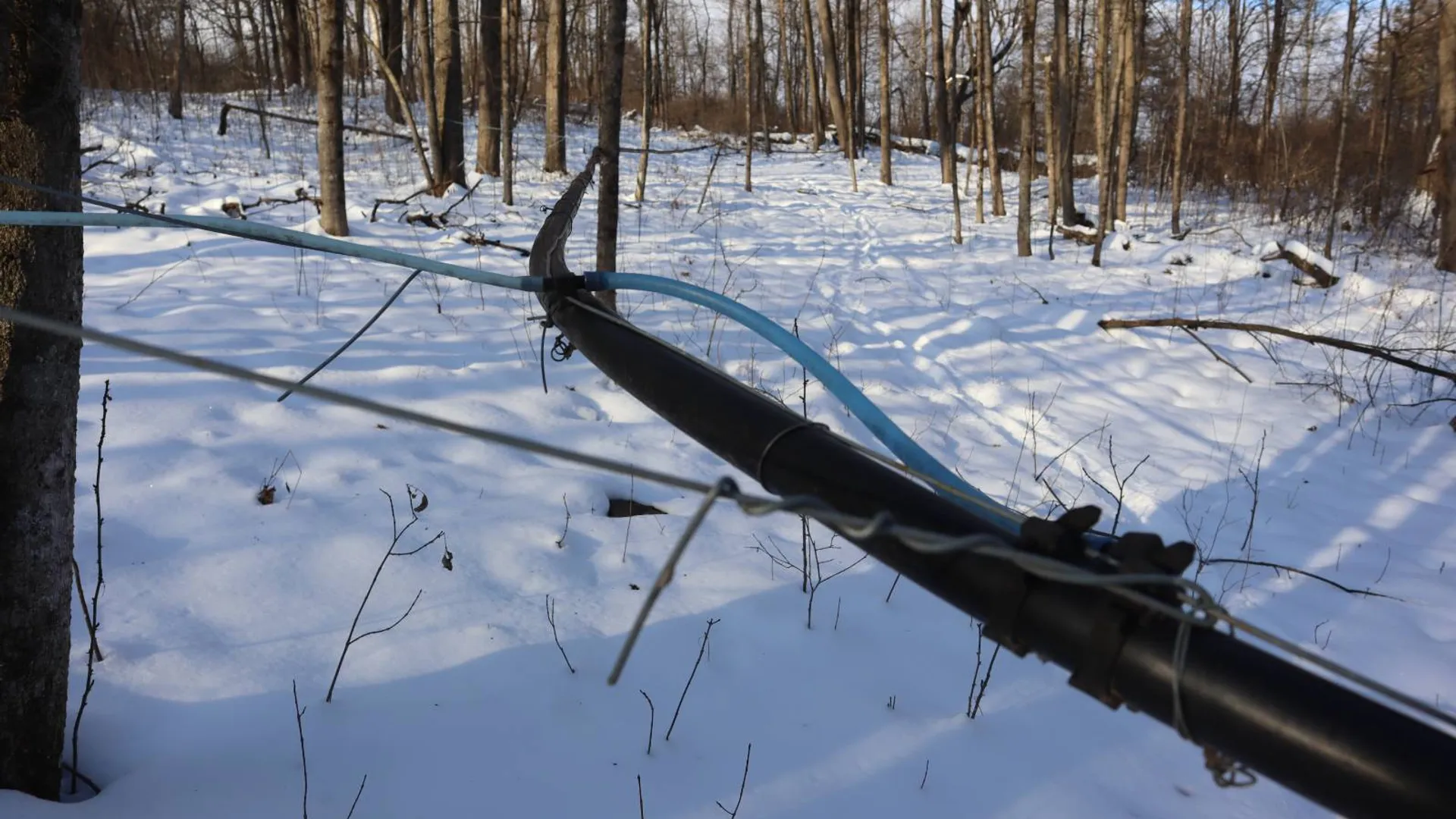 Property at 640 County Route 10, Whitehall, NY 12887 39