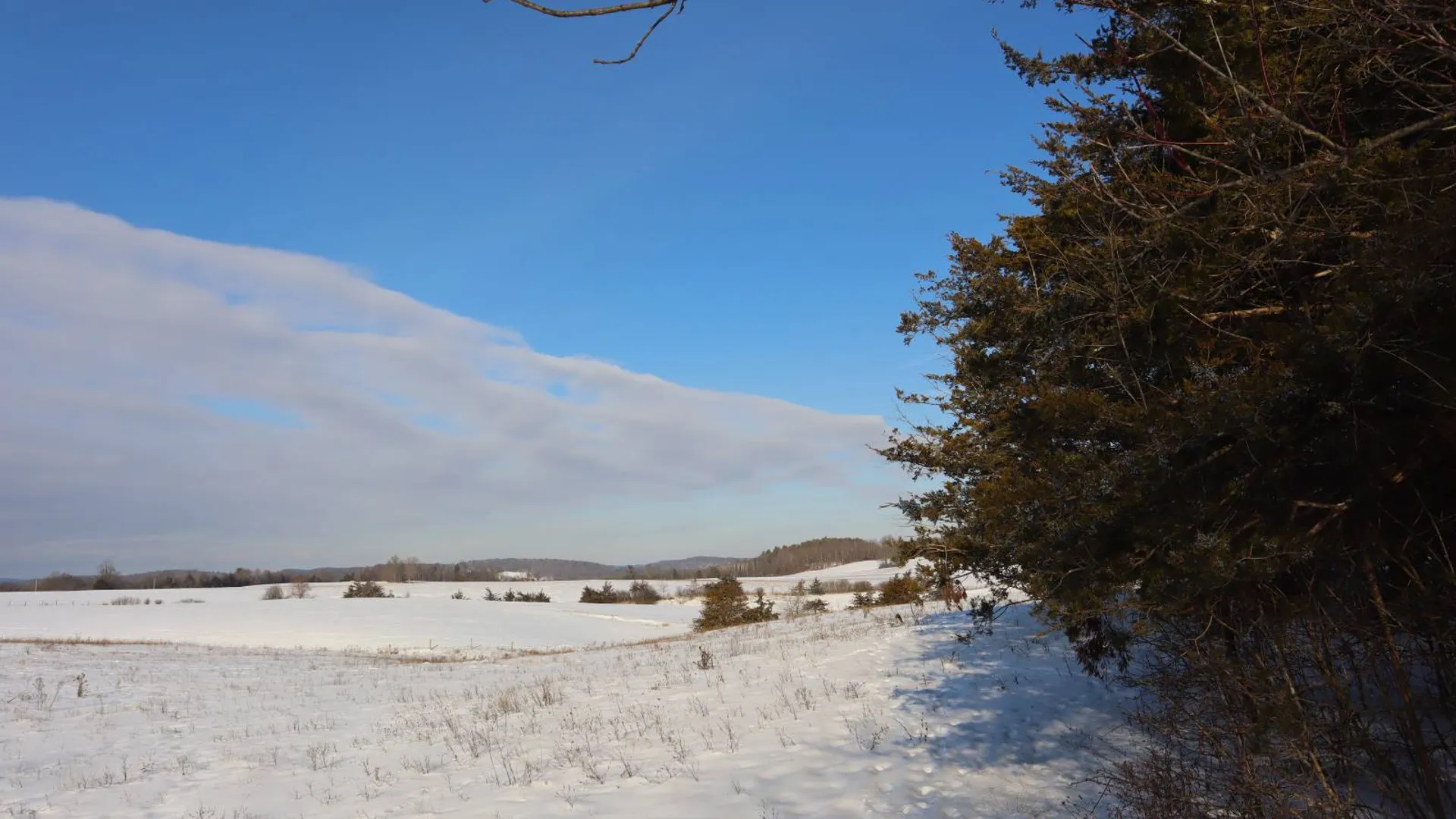 Property at 640 County Route 10, Whitehall, NY 12887 4