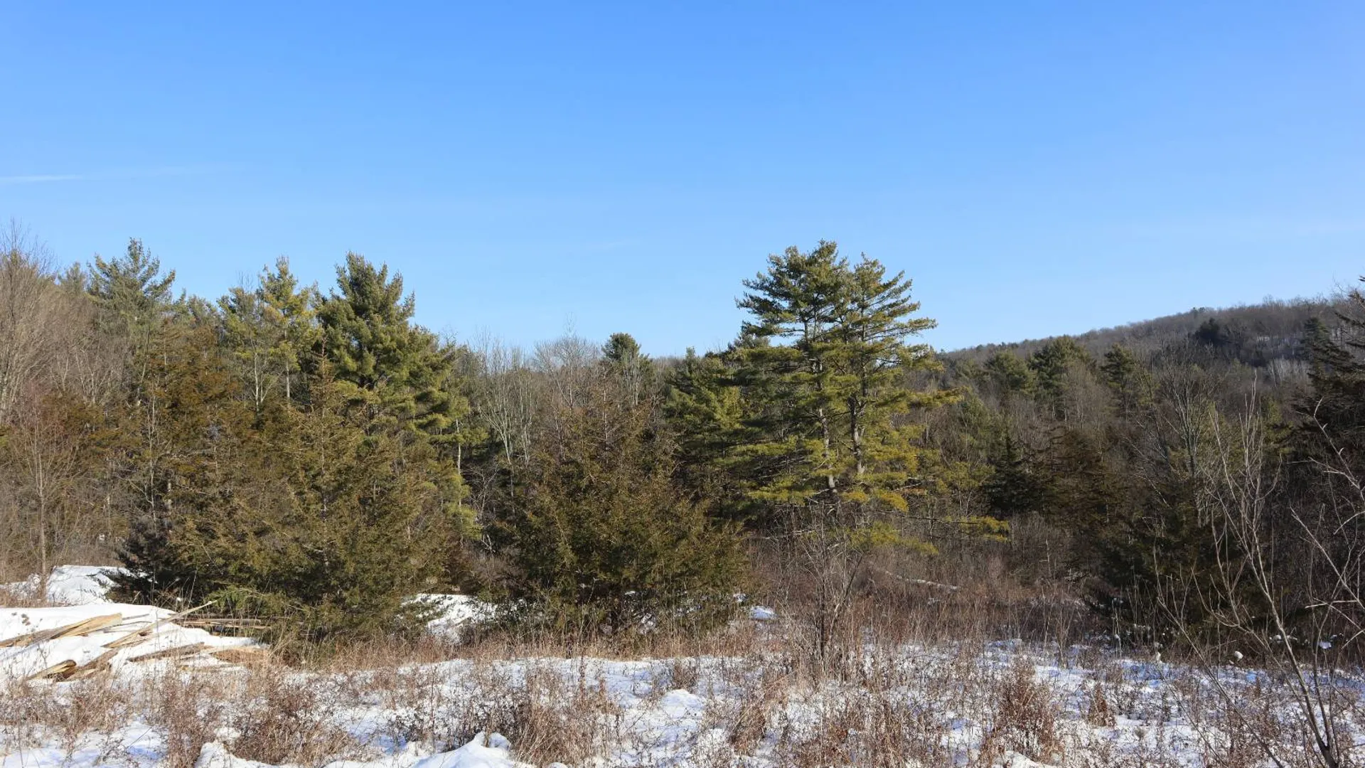 Property at 640 County Route 10, Whitehall, NY 12887 40