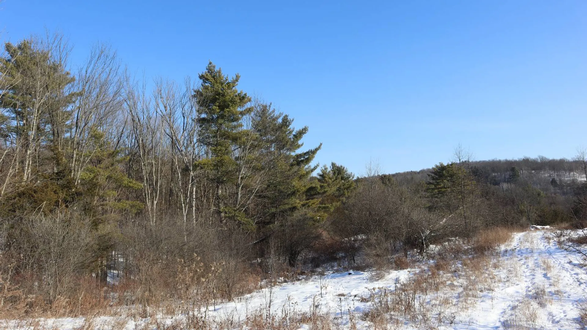 Property at 640 County Route 10, Whitehall, NY 12887 42