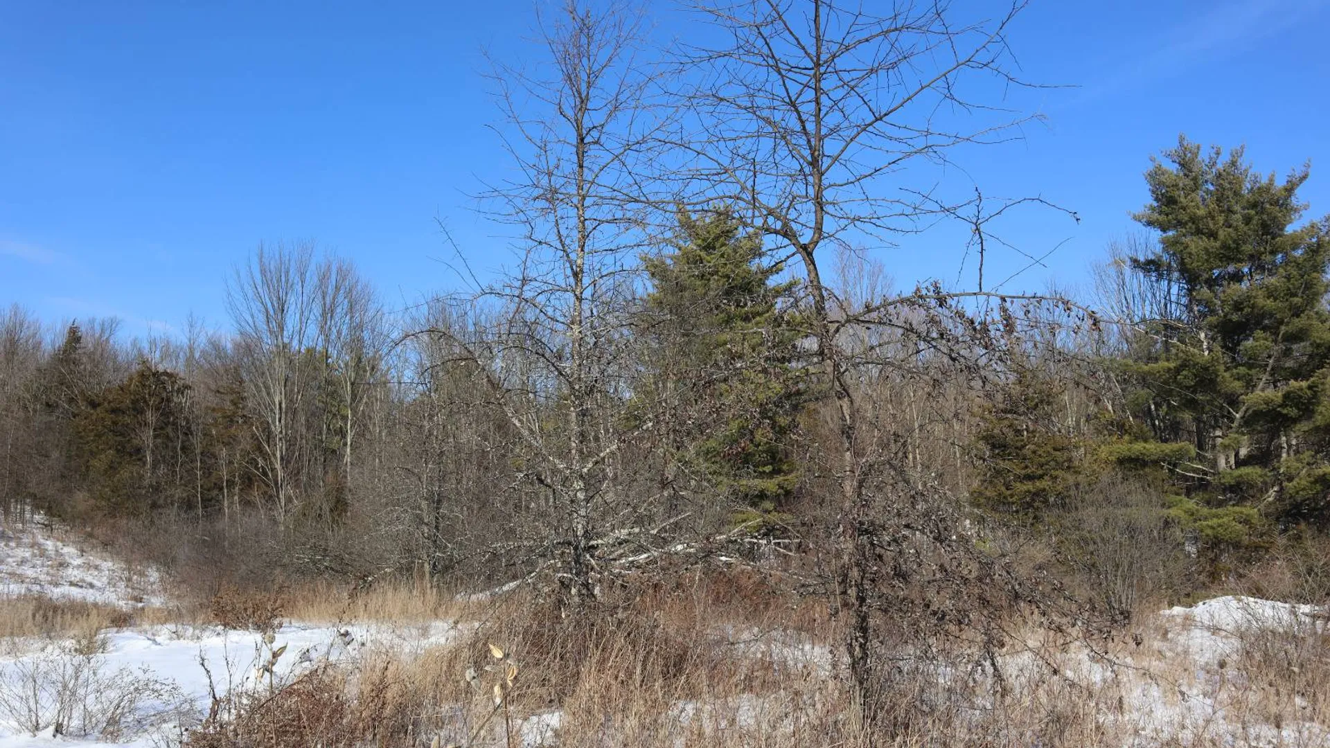 Property at 640 County Route 10, Whitehall, NY 12887 43