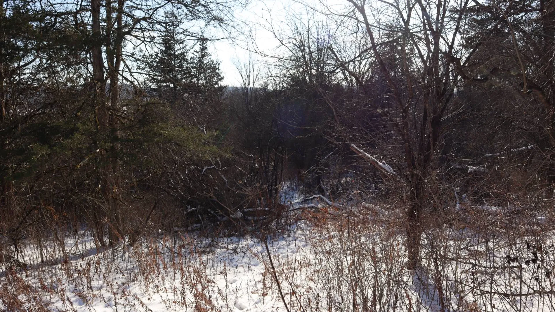 Property at 640 County Route 10, Whitehall, NY 12887 44