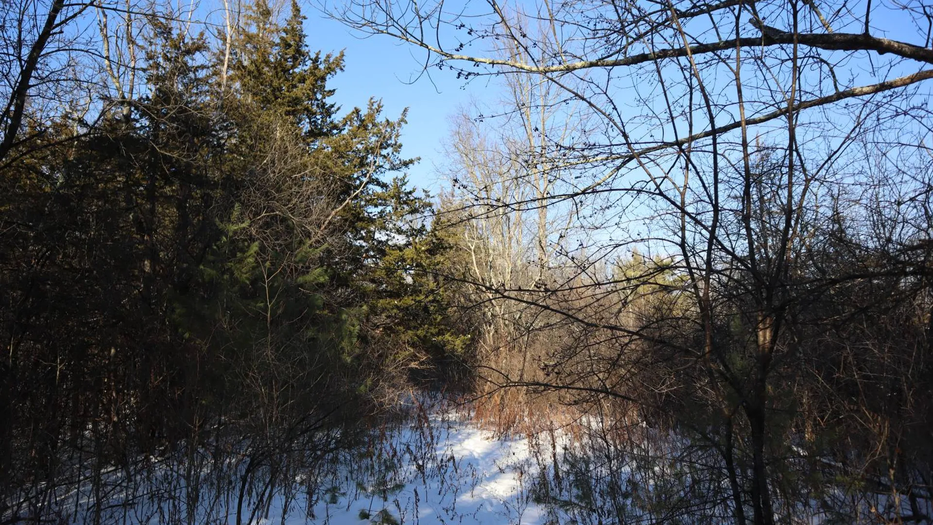 Property at 640 County Route 10, Whitehall, NY 12887 45