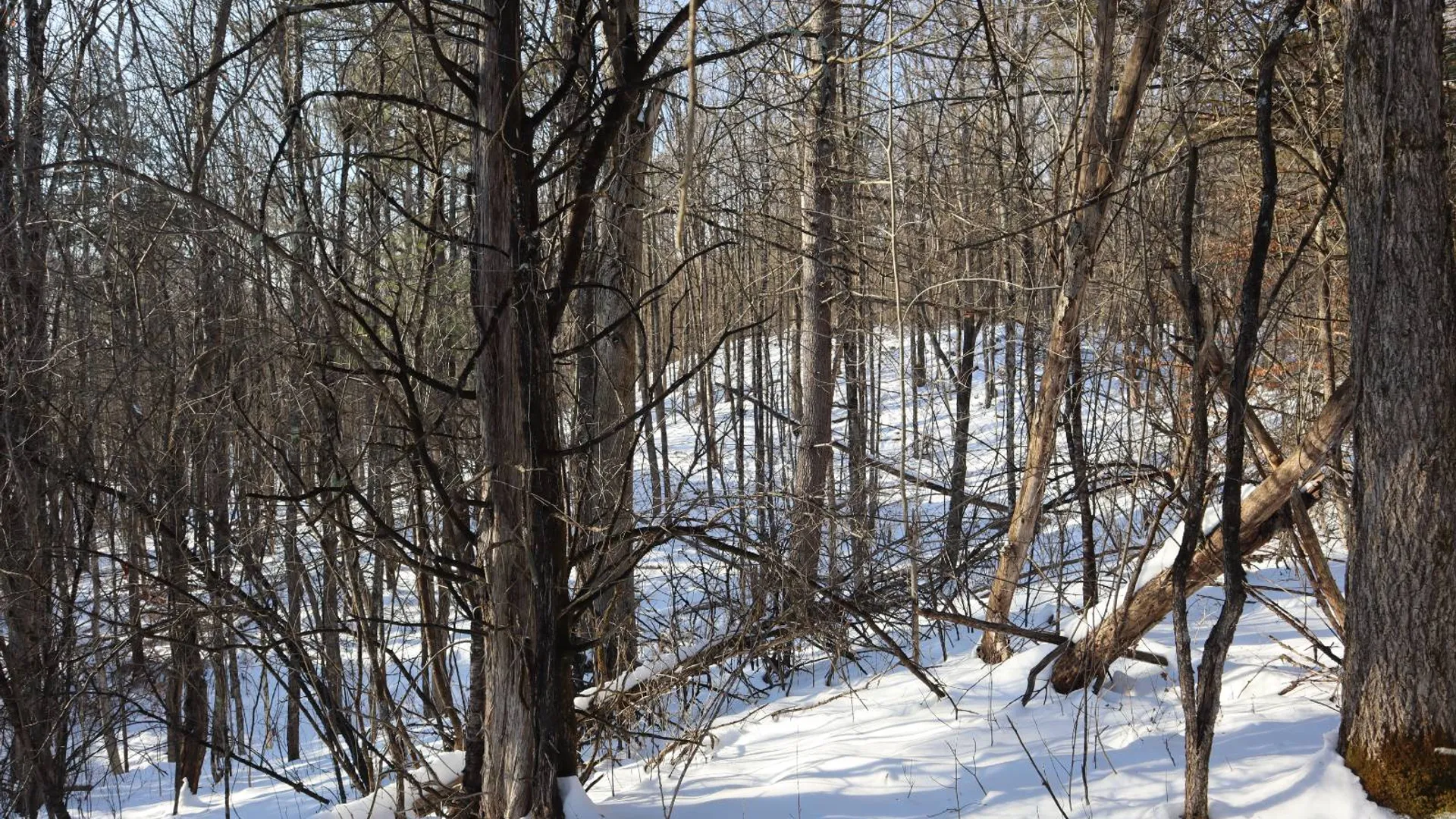 Property at 640 County Route 10, Whitehall, NY 12887 46