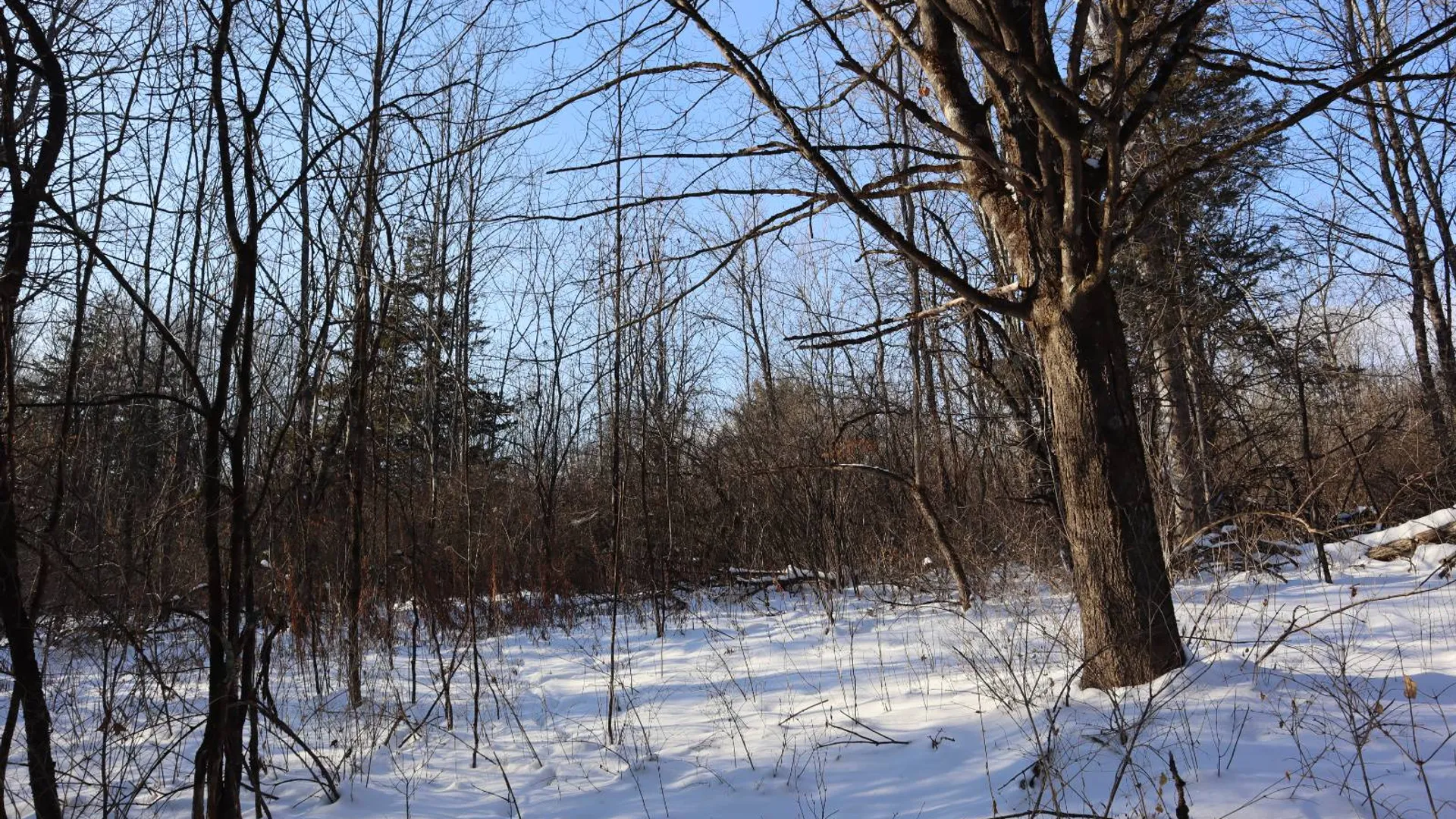 Property at 640 County Route 10, Whitehall, NY 12887 47