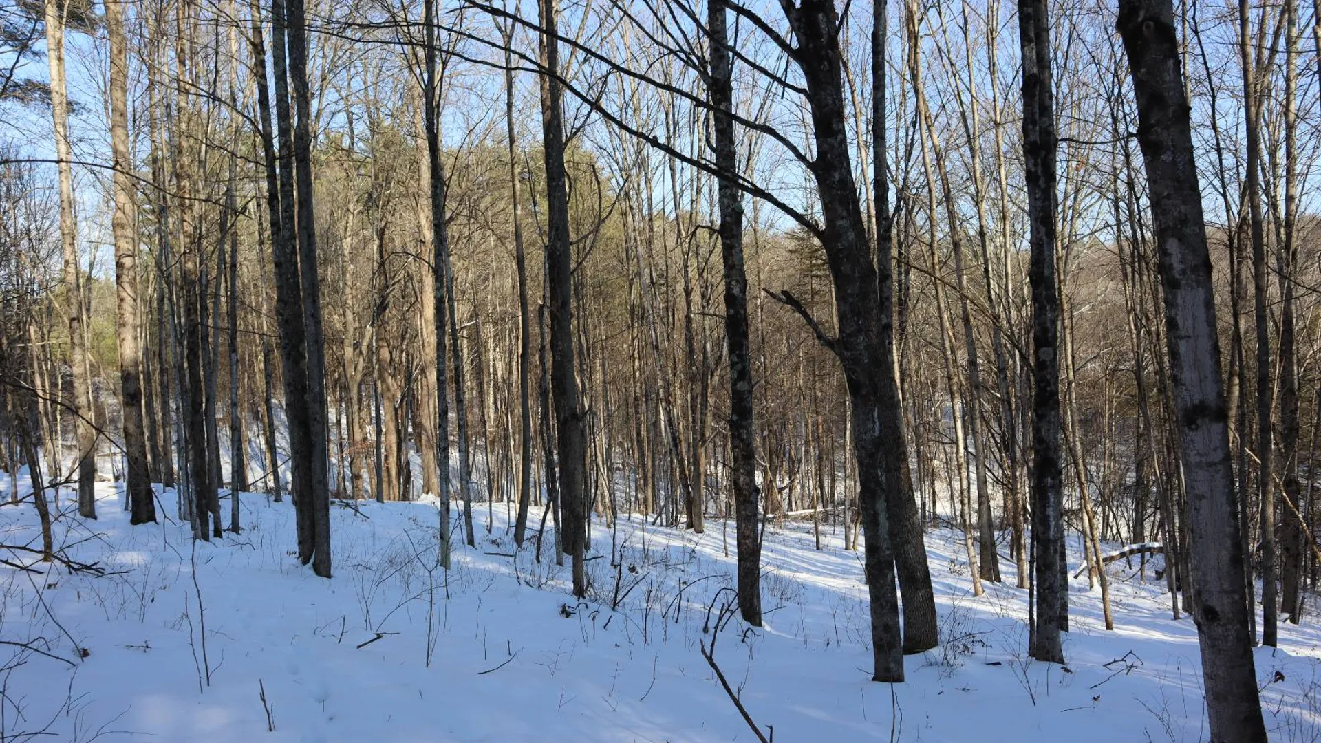 Property at 640 County Route 10, Whitehall, NY 12887 48