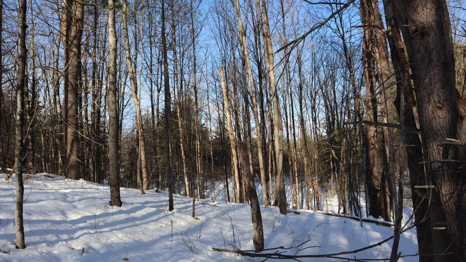 Property at 640 County Route 10, Whitehall, NY 12887 49