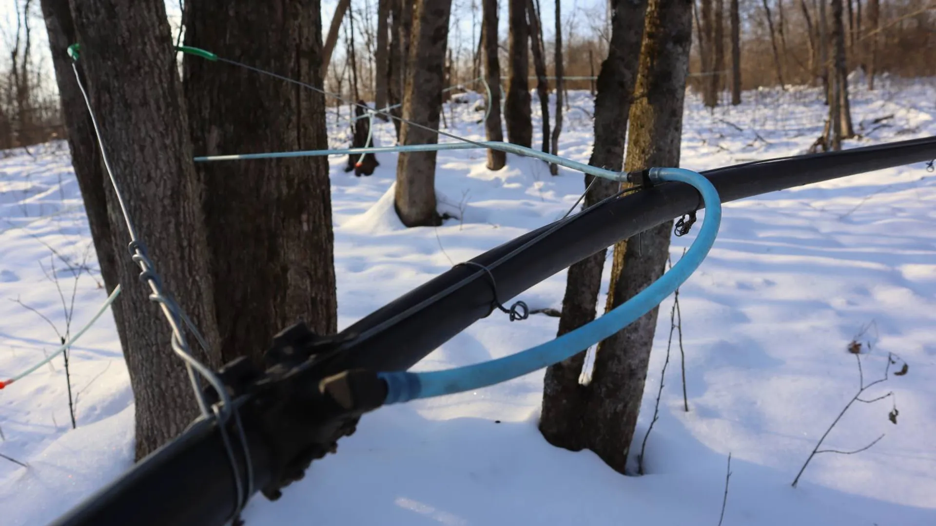 Property at 640 County Route 10, Whitehall, NY 12887 5