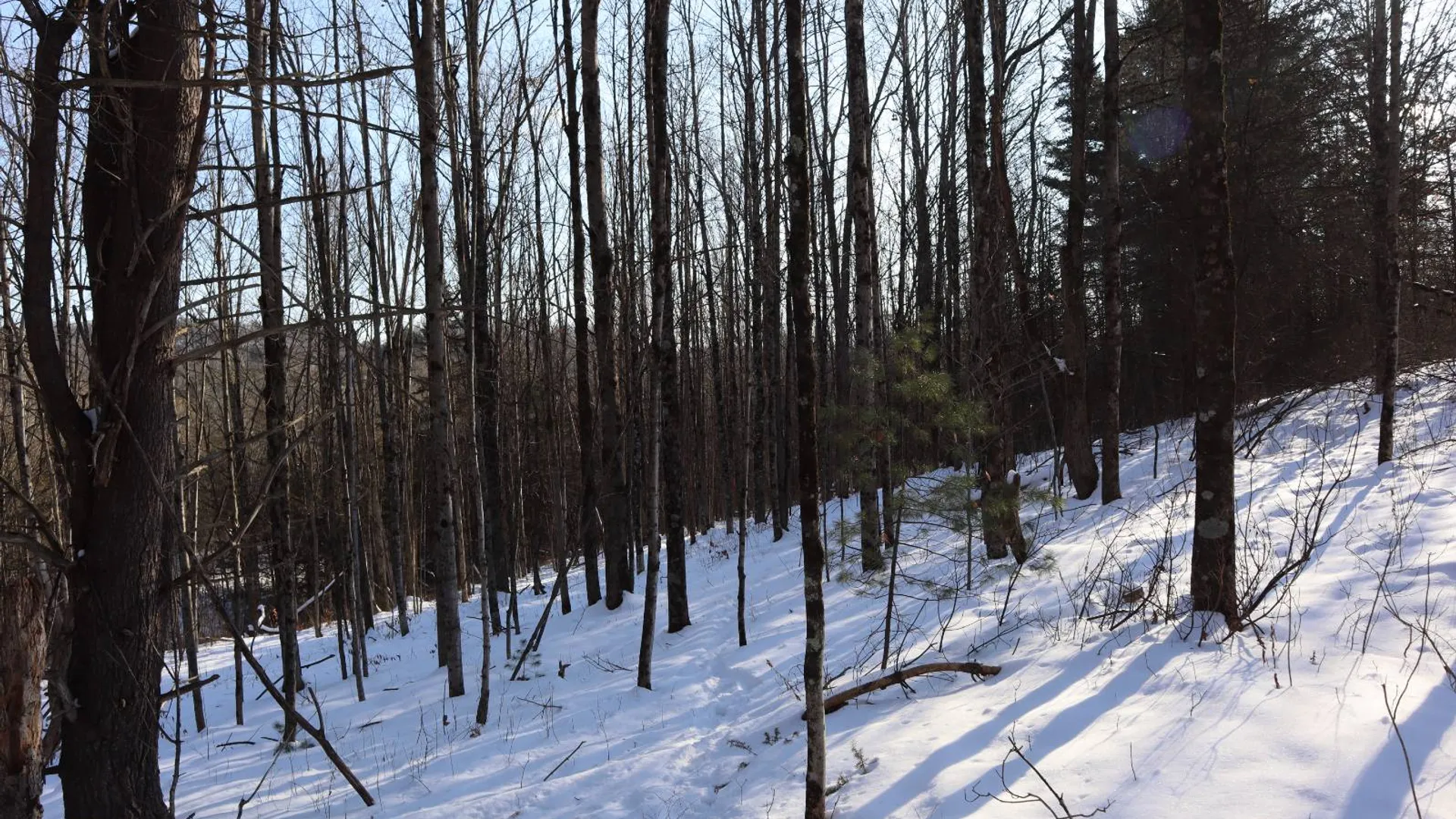 Property at 640 County Route 10, Whitehall, NY 12887 50