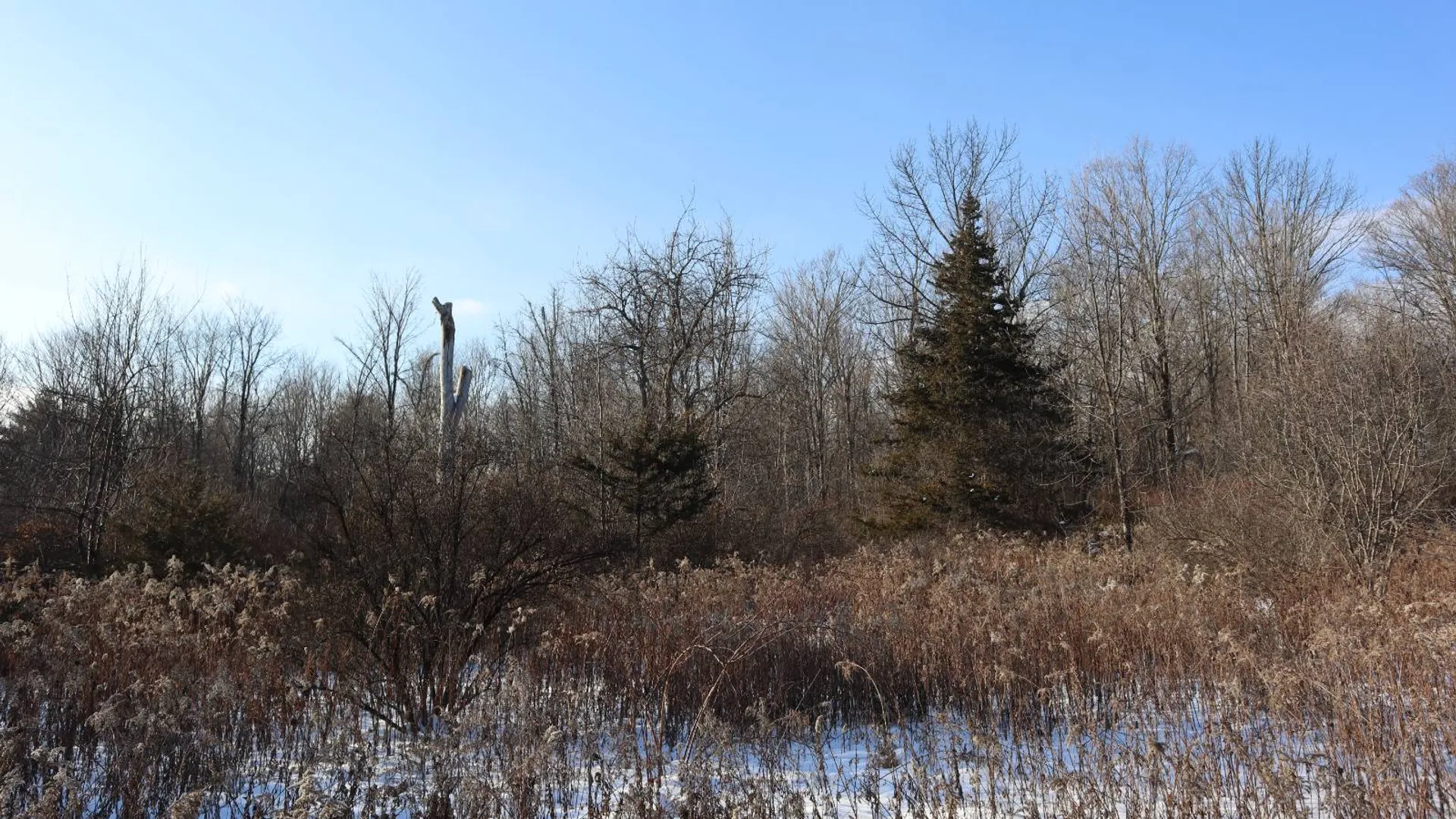 Property at 640 County Route 10, Whitehall, NY 12887 51