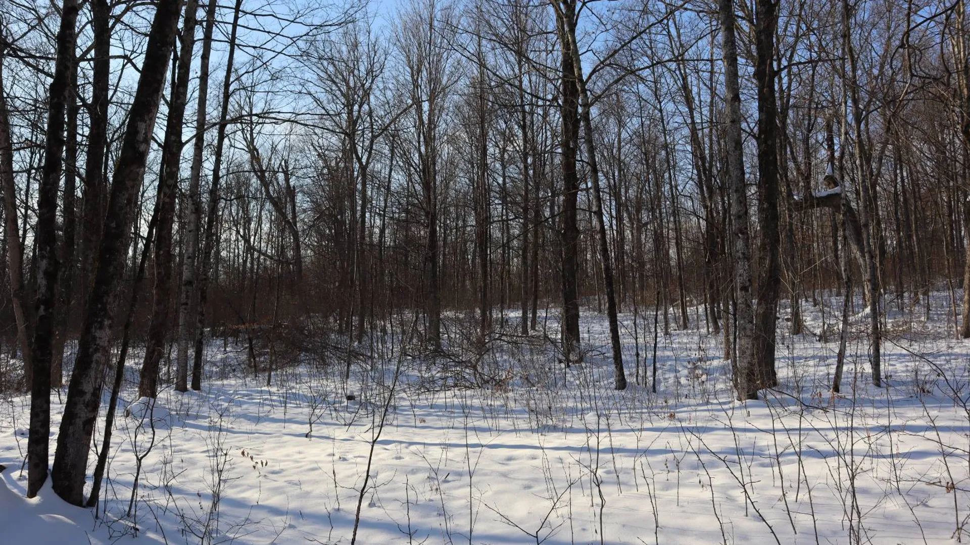 Property at 640 County Route 10, Whitehall, NY 12887 52