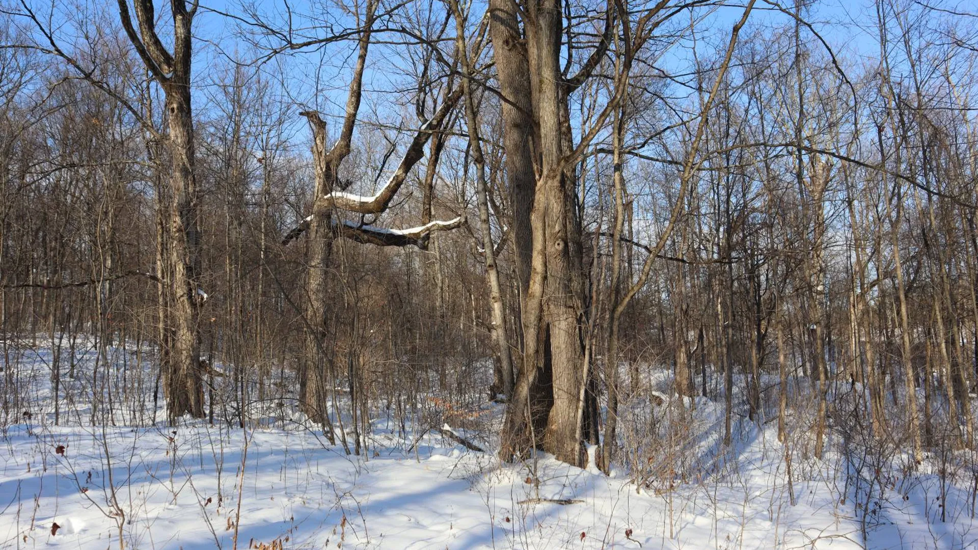 Property at 640 County Route 10, Whitehall, NY 12887 53