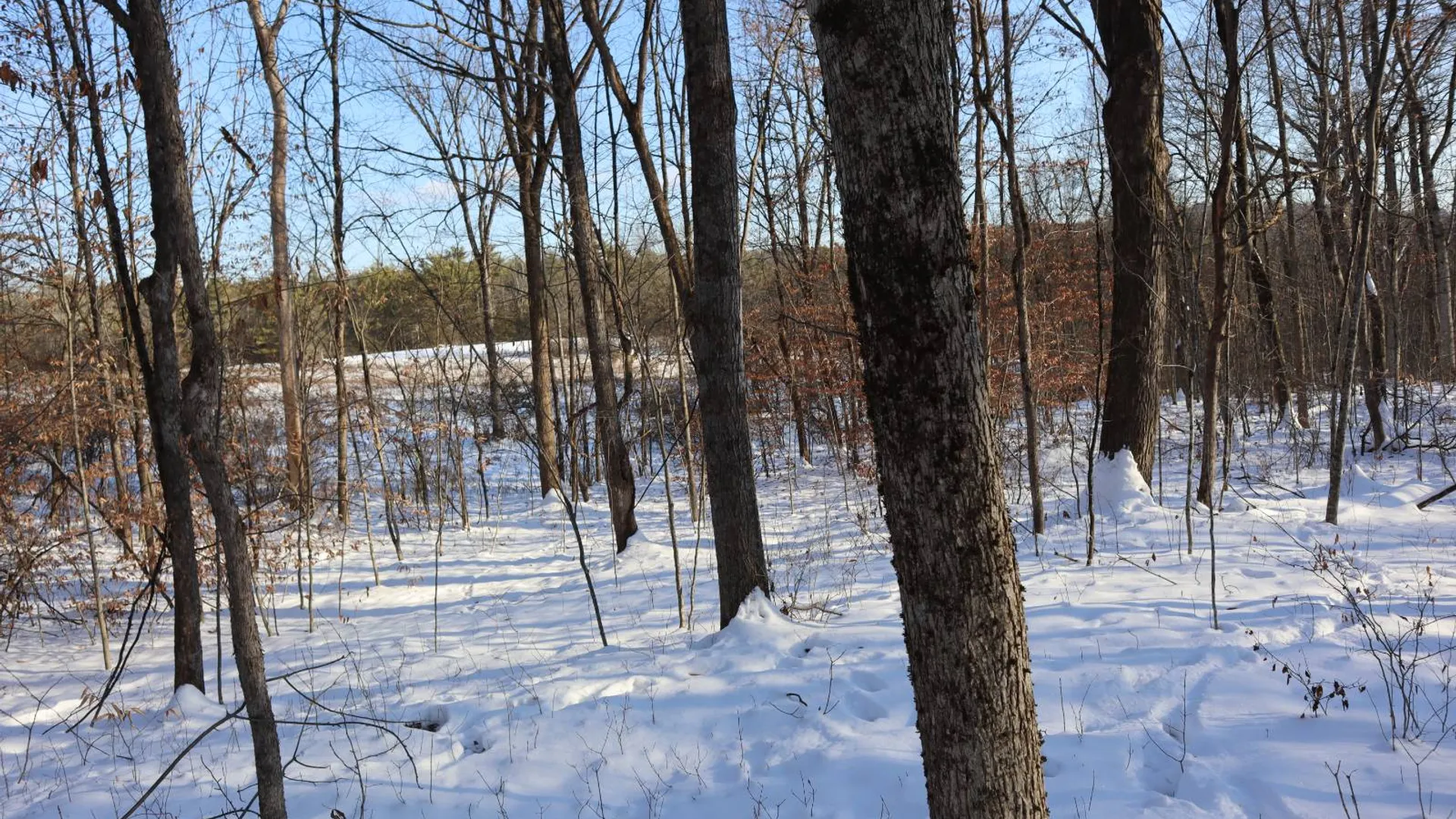 Property at 640 County Route 10, Whitehall, NY 12887 54