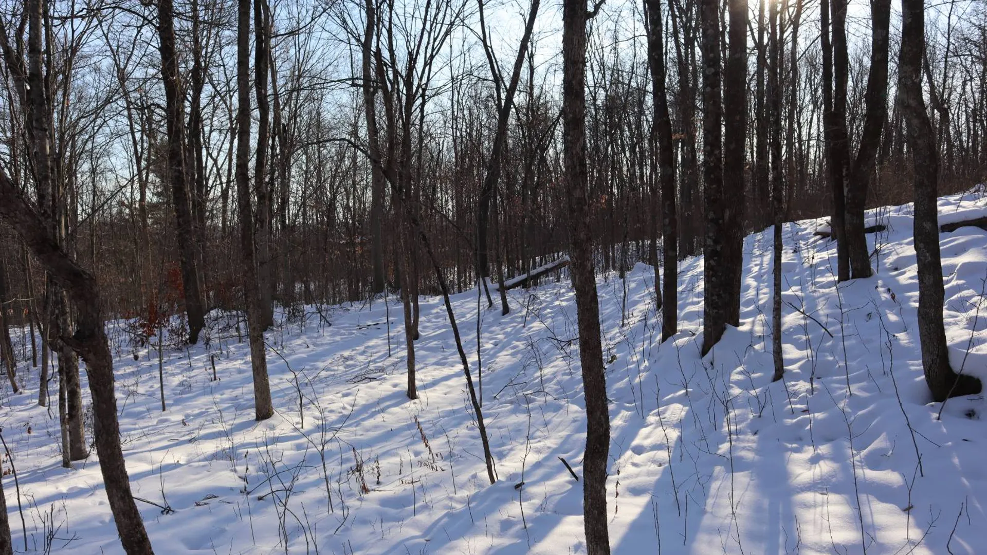 Property at 640 County Route 10, Whitehall, NY 12887 55