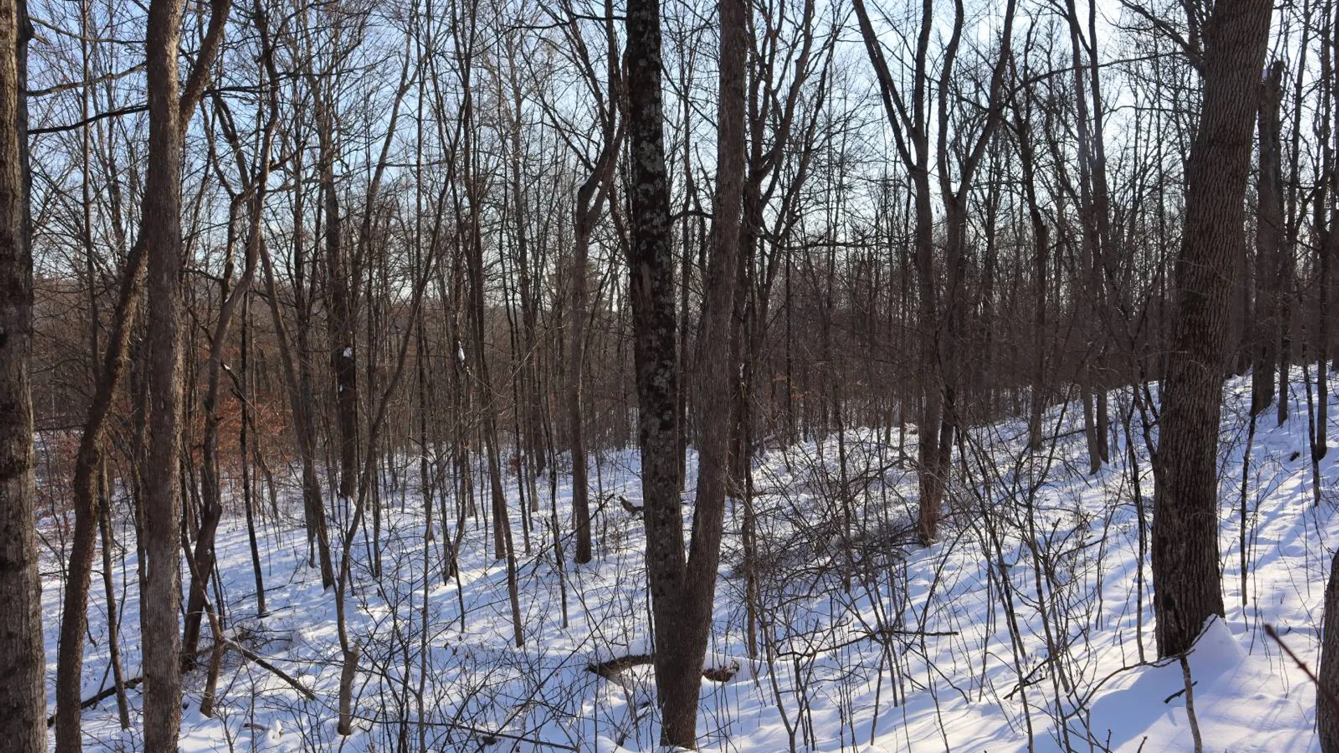 Property at 640 County Route 10, Whitehall, NY 12887 56