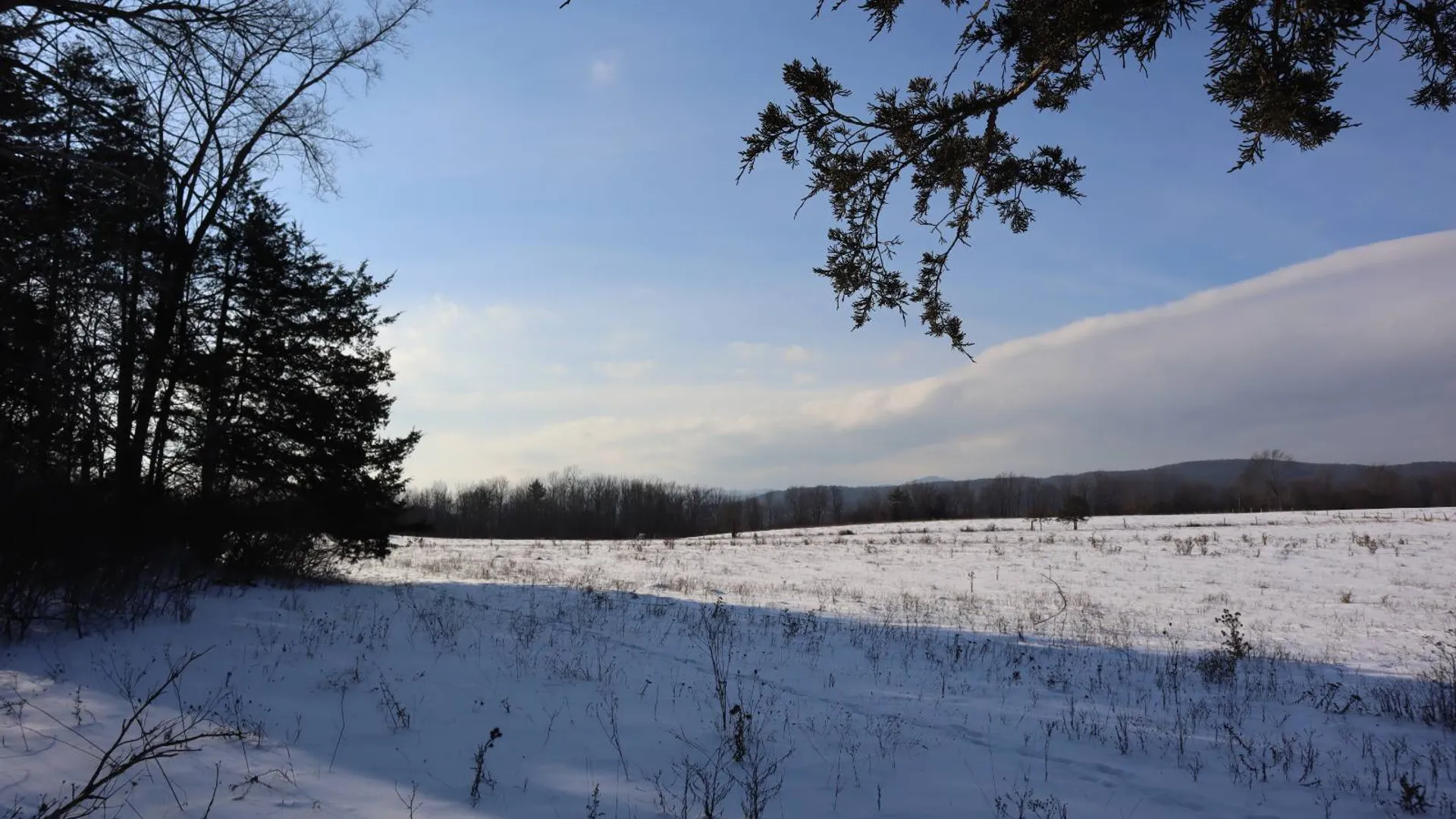 Property at 640 County Route 10, Whitehall, NY 12887 57