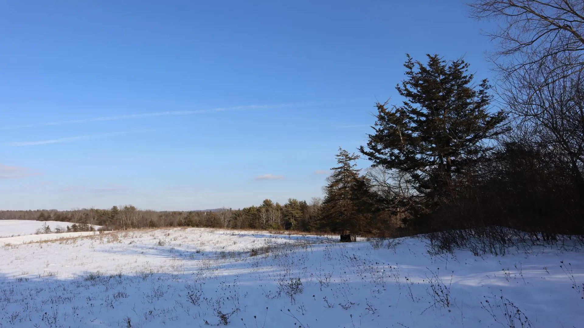 Property at 640 County Route 10, Whitehall, NY 12887 58