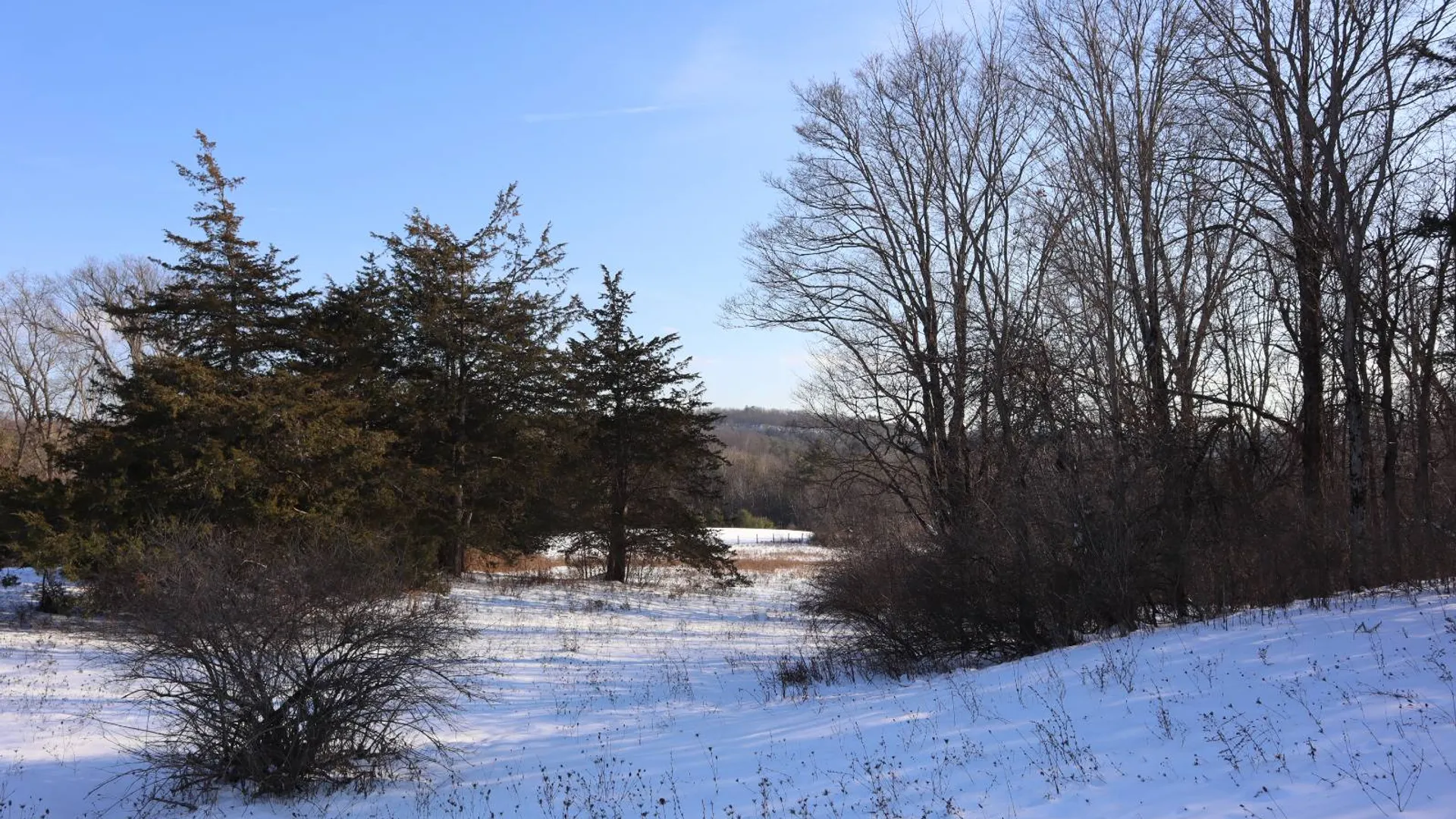 Property at 640 County Route 10, Whitehall, NY 12887 59