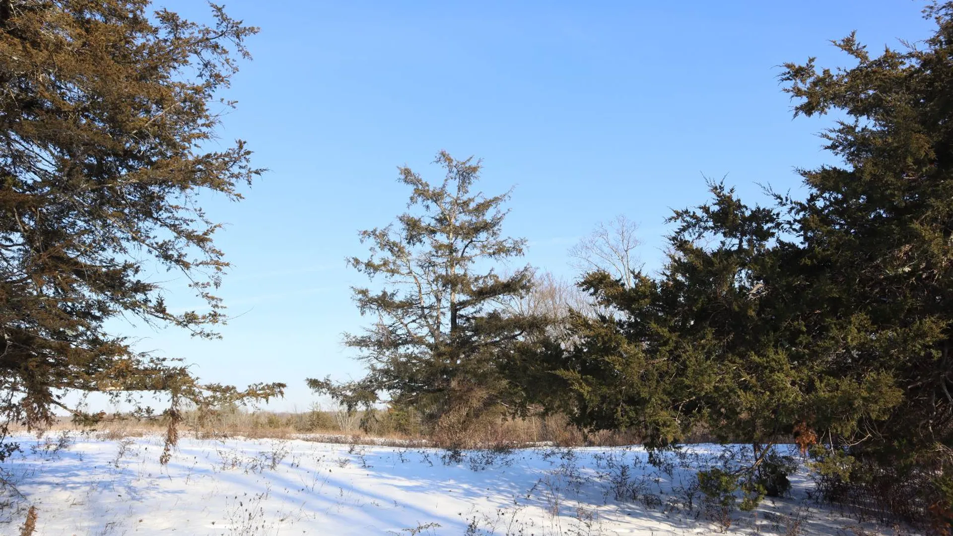 Property at 640 County Route 10, Whitehall, NY 12887 61