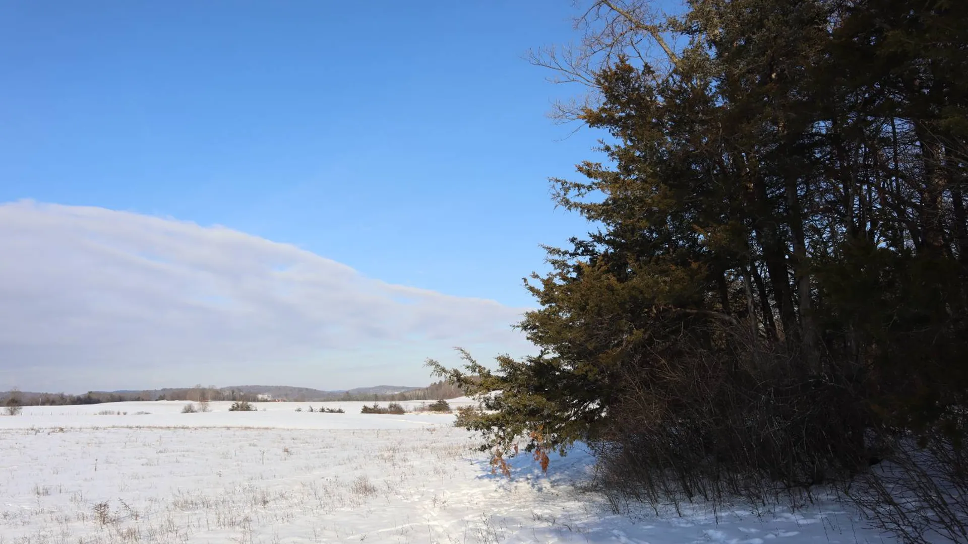 Property at 640 County Route 10, Whitehall, NY 12887 63