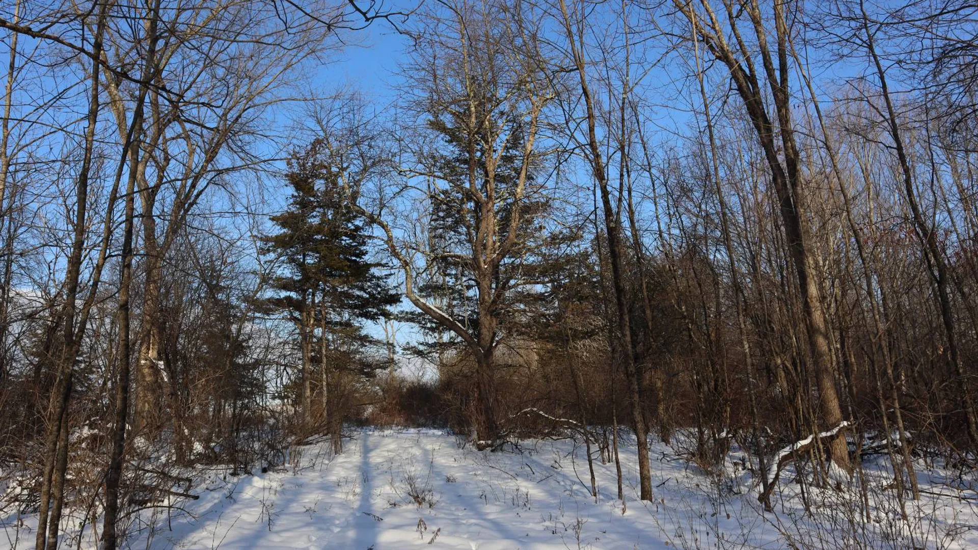 Property at 640 County Route 10, Whitehall, NY 12887 66