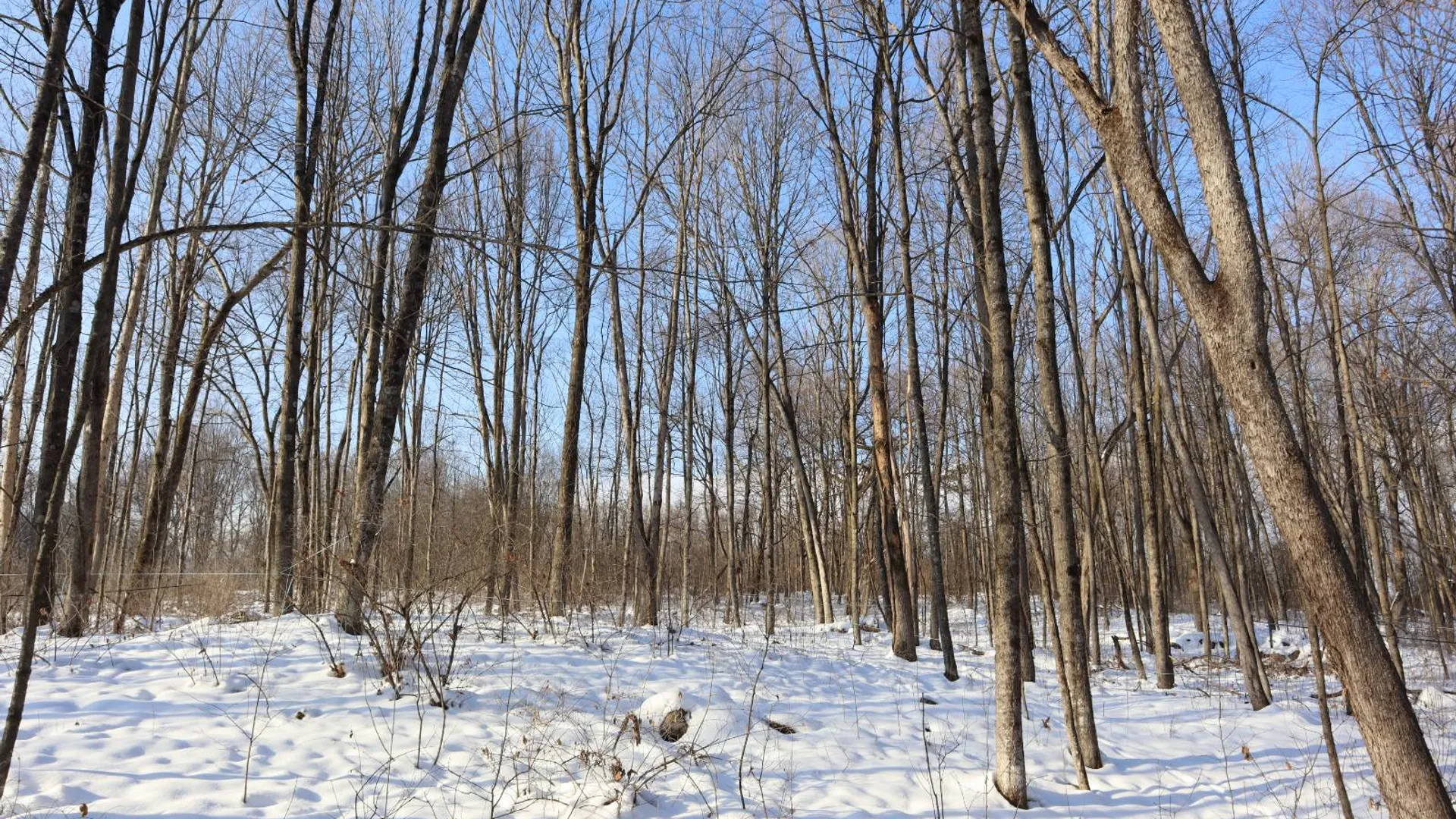 Property at 640 County Route 10, Whitehall, NY 12887 67