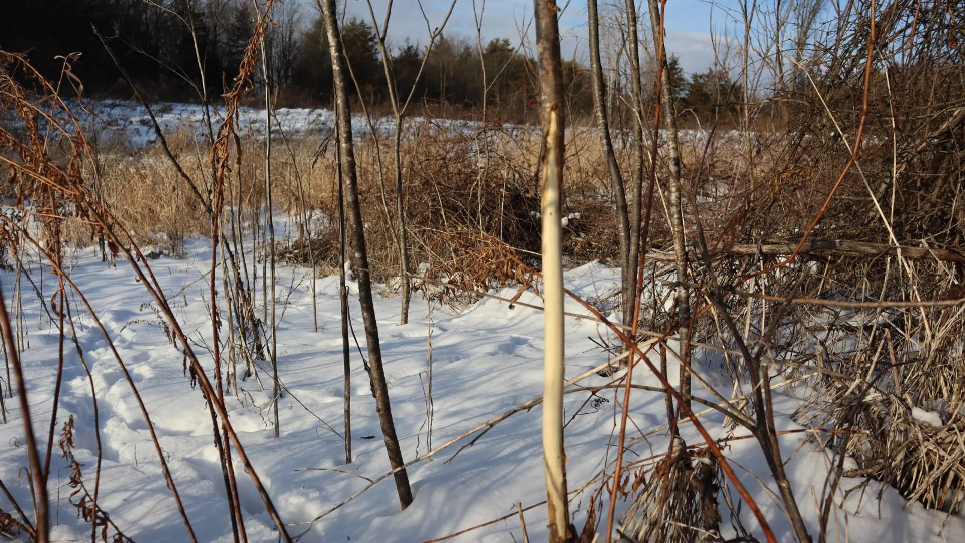 Property at 640 County Route 10, Whitehall, NY 12887 75