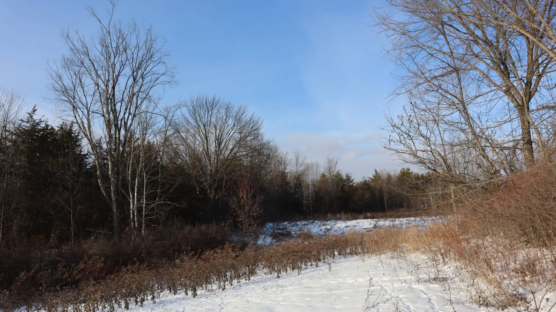 Property at 640 County Route 10, Whitehall, NY 12887 76