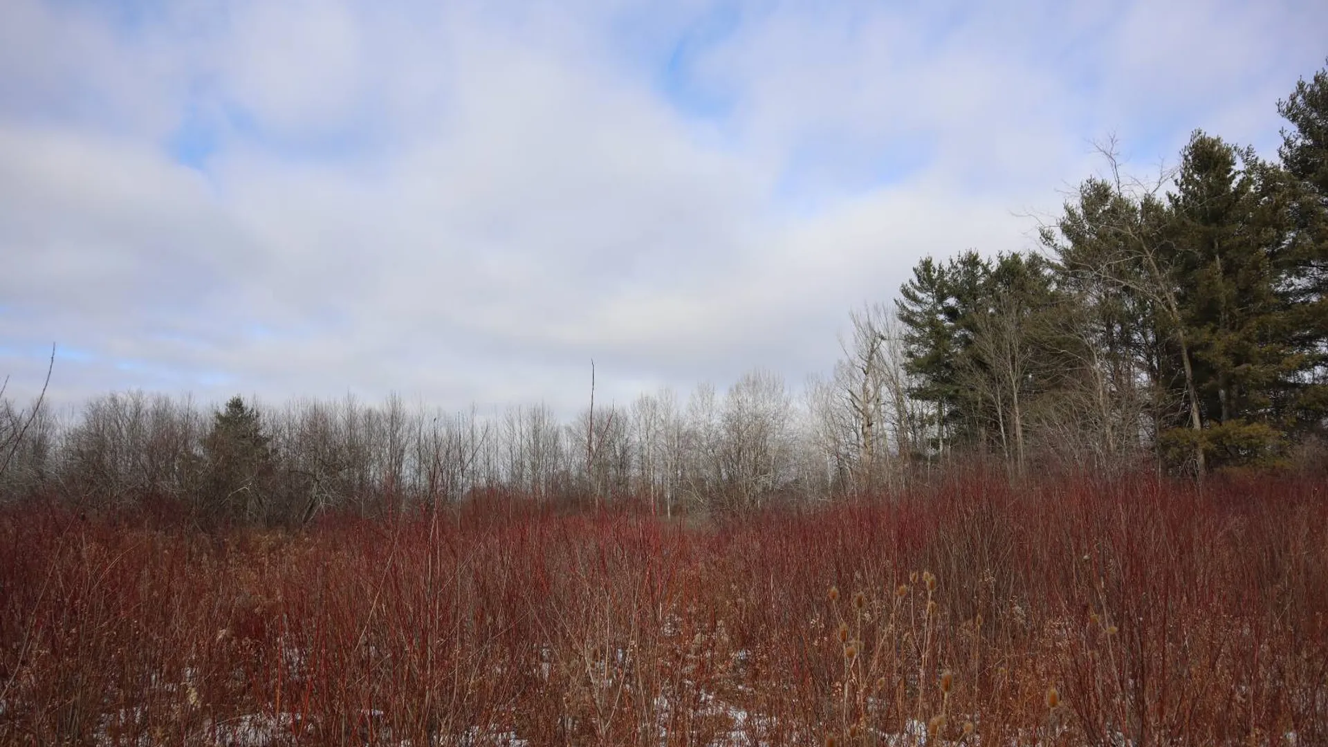 Property at 0 Sthwy 162, Sprakers, NY 12166 10