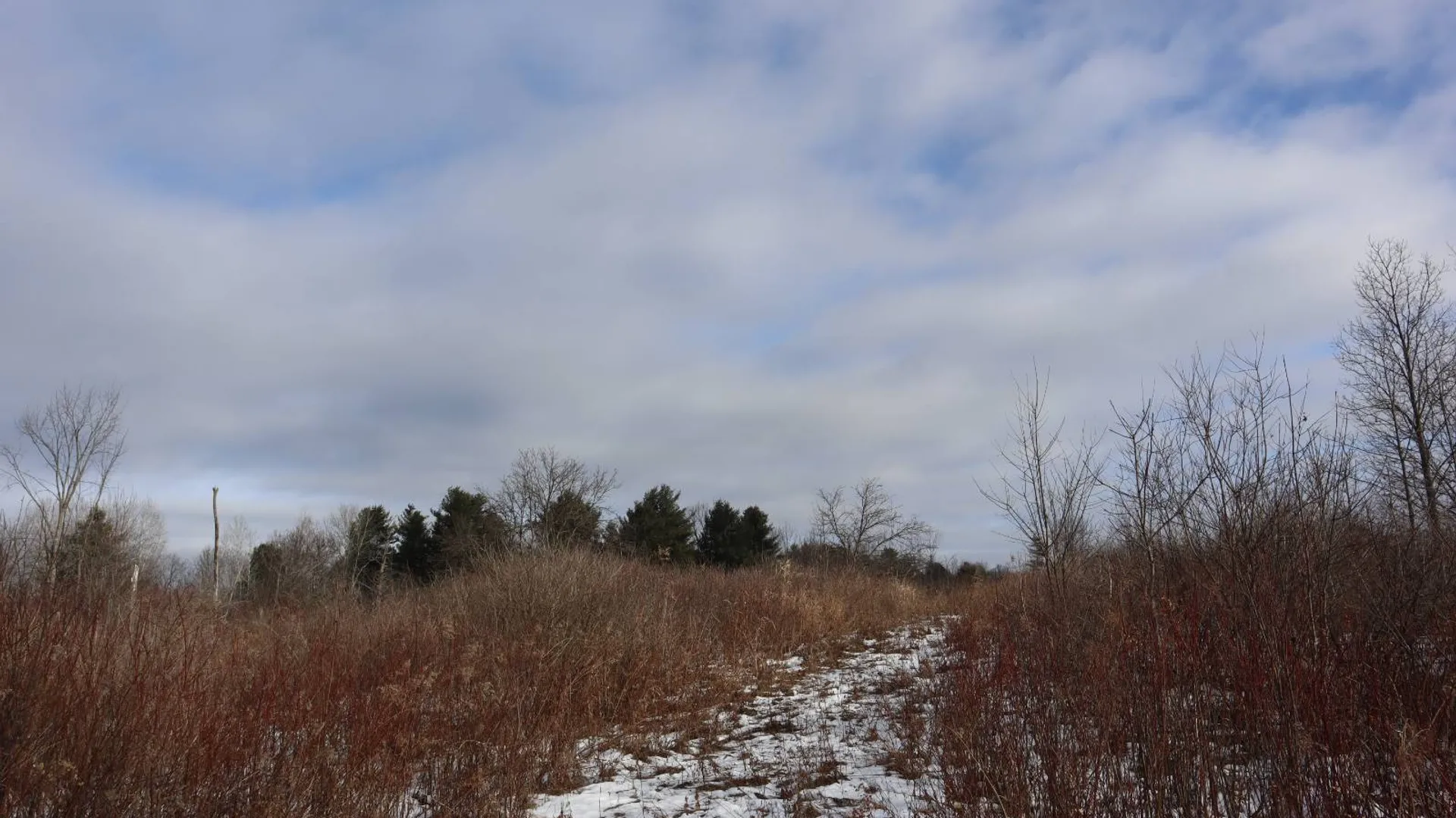 Property at 0 Sthwy 162, Sprakers, NY 12166 12