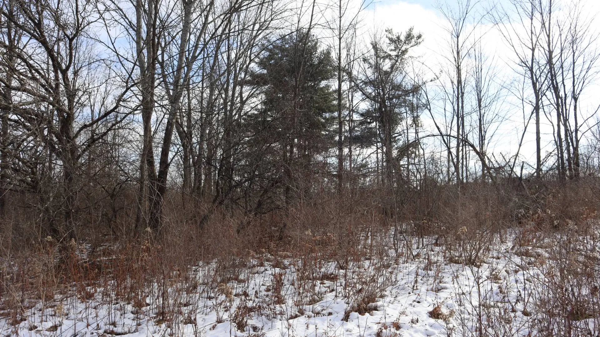 Property at 0 Sthwy 162, Sprakers, NY 12166 13