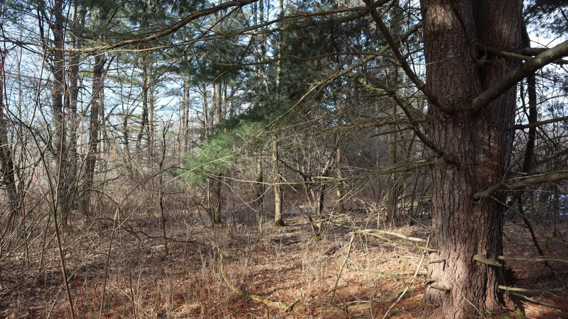 Property at 0 Sthwy 162, Sprakers, NY 12166 14
