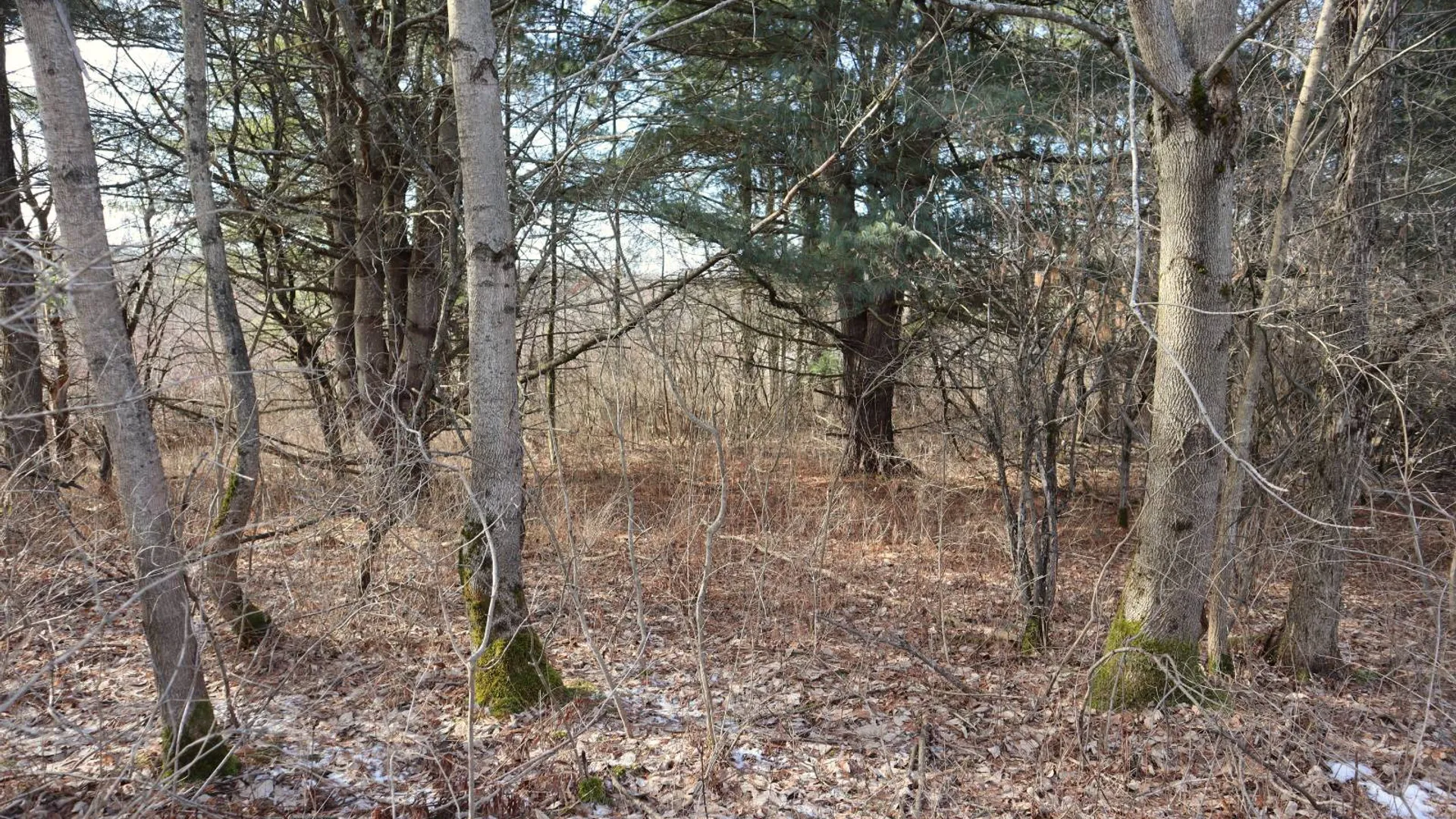 Property at 0 Sthwy 162, Sprakers, NY 12166 15