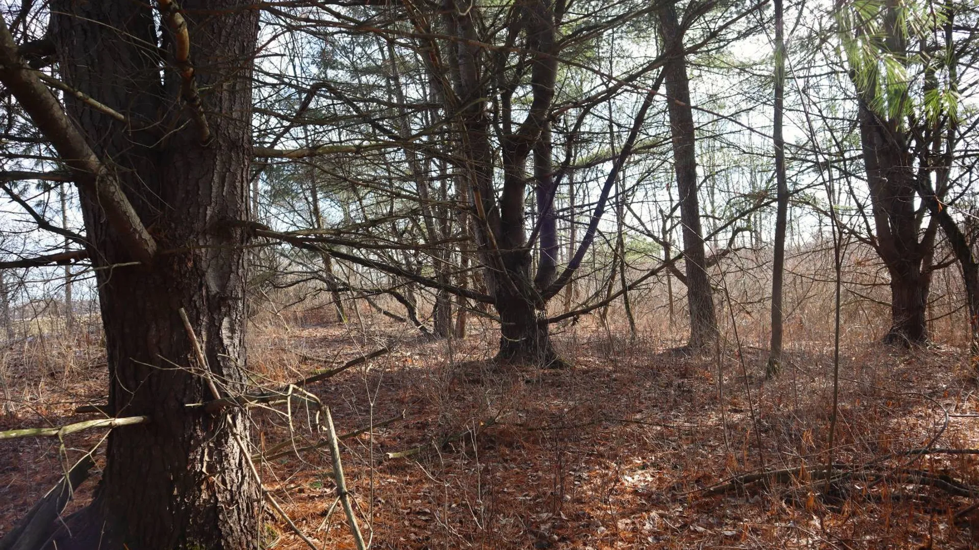 Property at 0 Sthwy 162, Sprakers, NY 12166 16