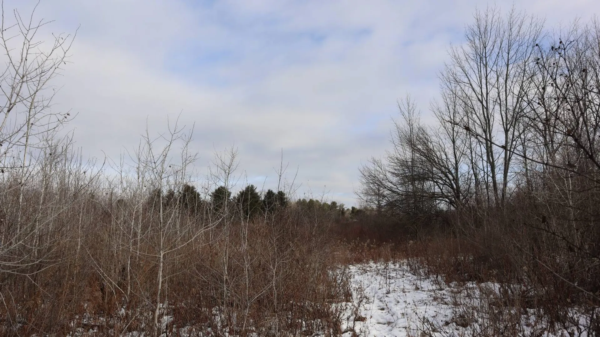 Property at 0 Sthwy 162, Sprakers, NY 12166 17