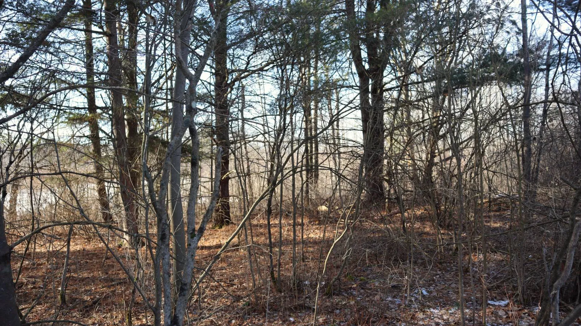 Property at 0 Sthwy 162, Sprakers, NY 12166 18
