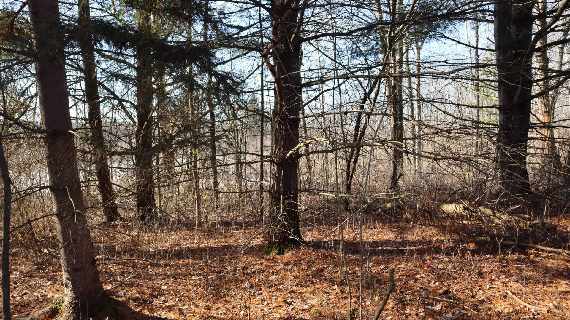 Property at 0 Sthwy 162, Sprakers, NY 12166 19