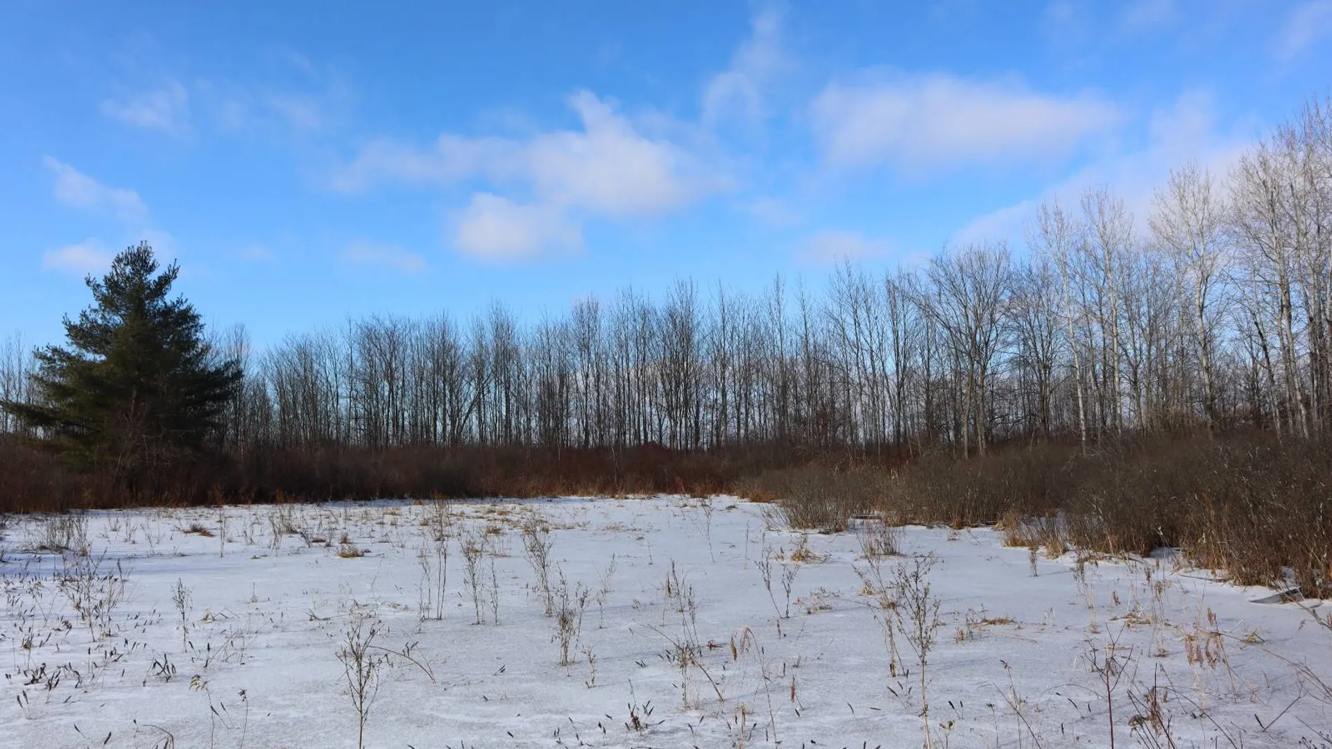 Property at 0 Sthwy 162, Sprakers, NY 12166 20