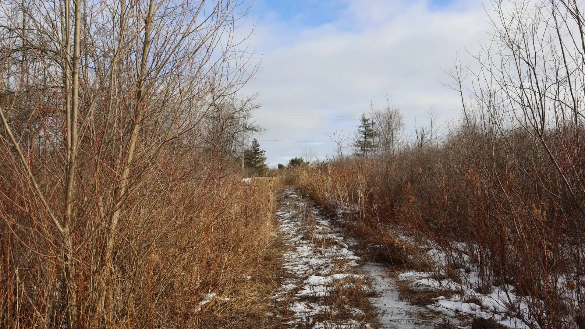 Property at 0 Sthwy 162, Sprakers, NY 12166 3
