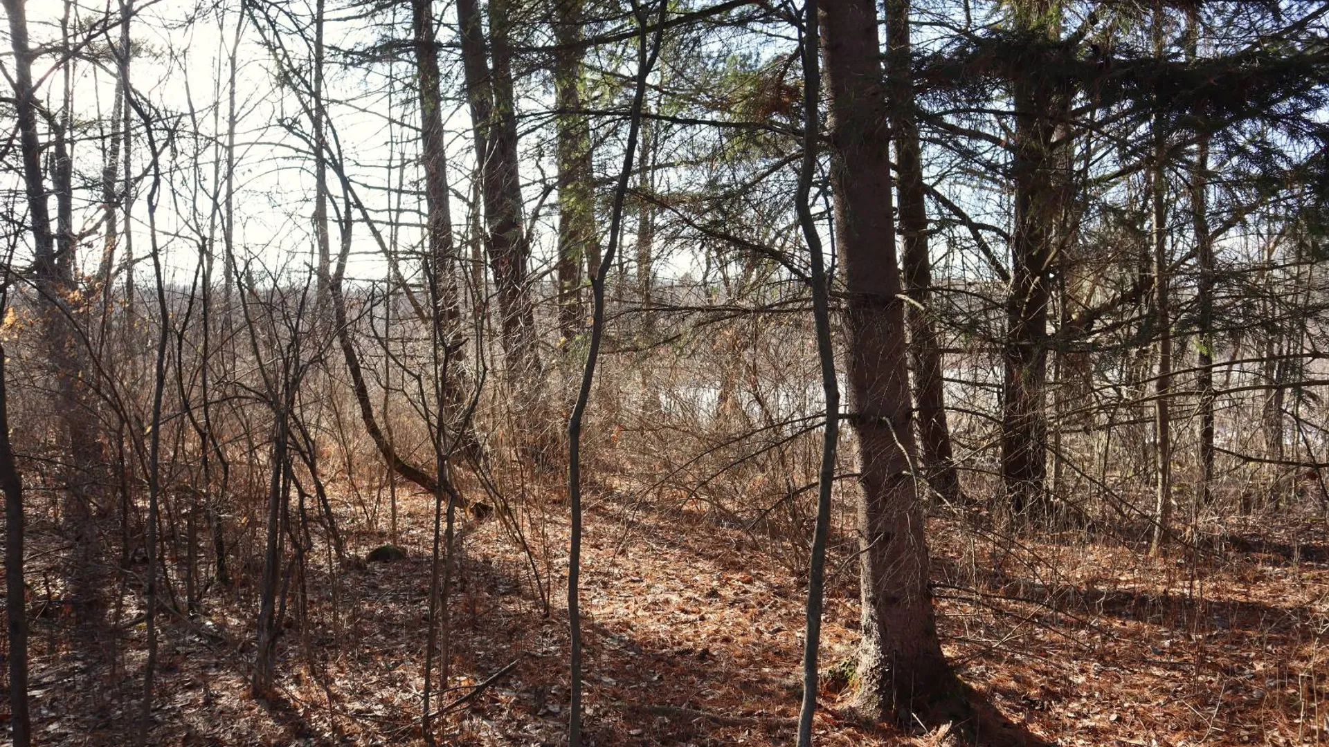 Property at 0 Sthwy 162, Sprakers, NY 12166 4