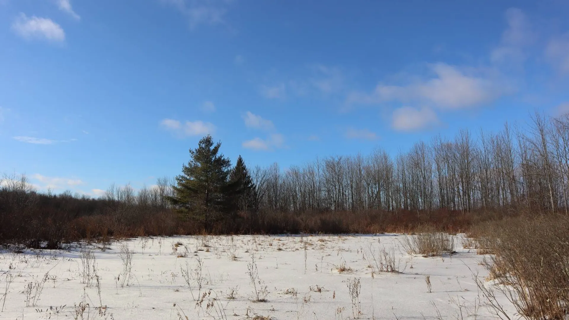 Property at 0 Sthwy 162, Sprakers, NY 12166 5