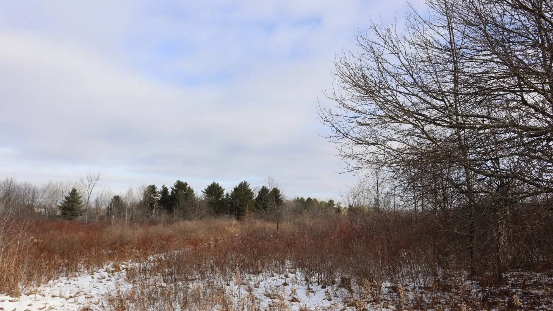Property at 0 Sthwy 162, Sprakers, NY 12166 8