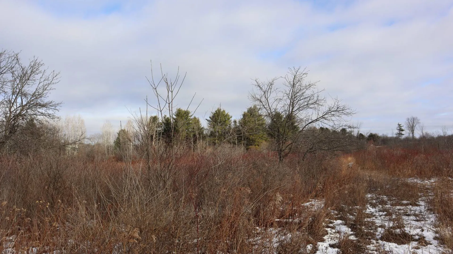 Property at 0 Sthwy 162, Sprakers, NY 12166 9