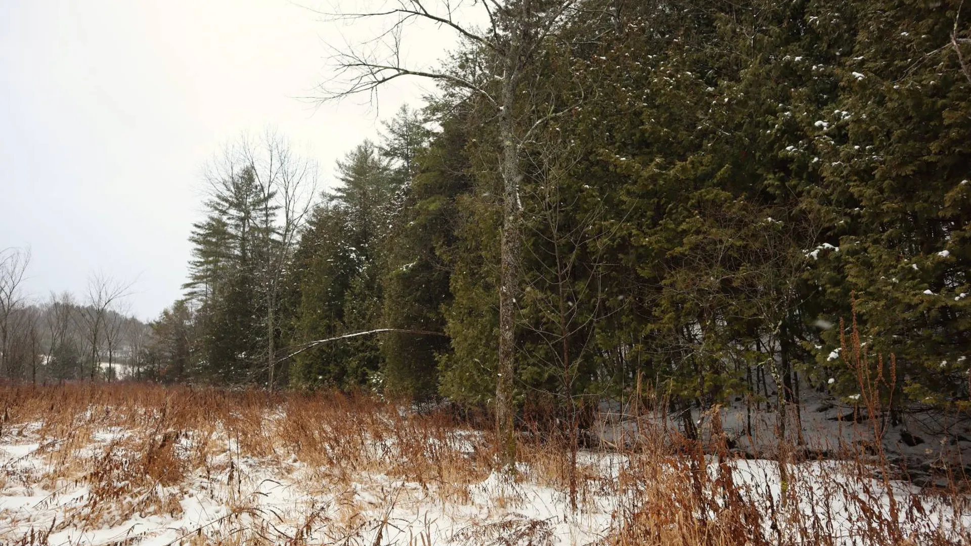 Property at 0 Wade Road, Whitehall, NY 12887 10