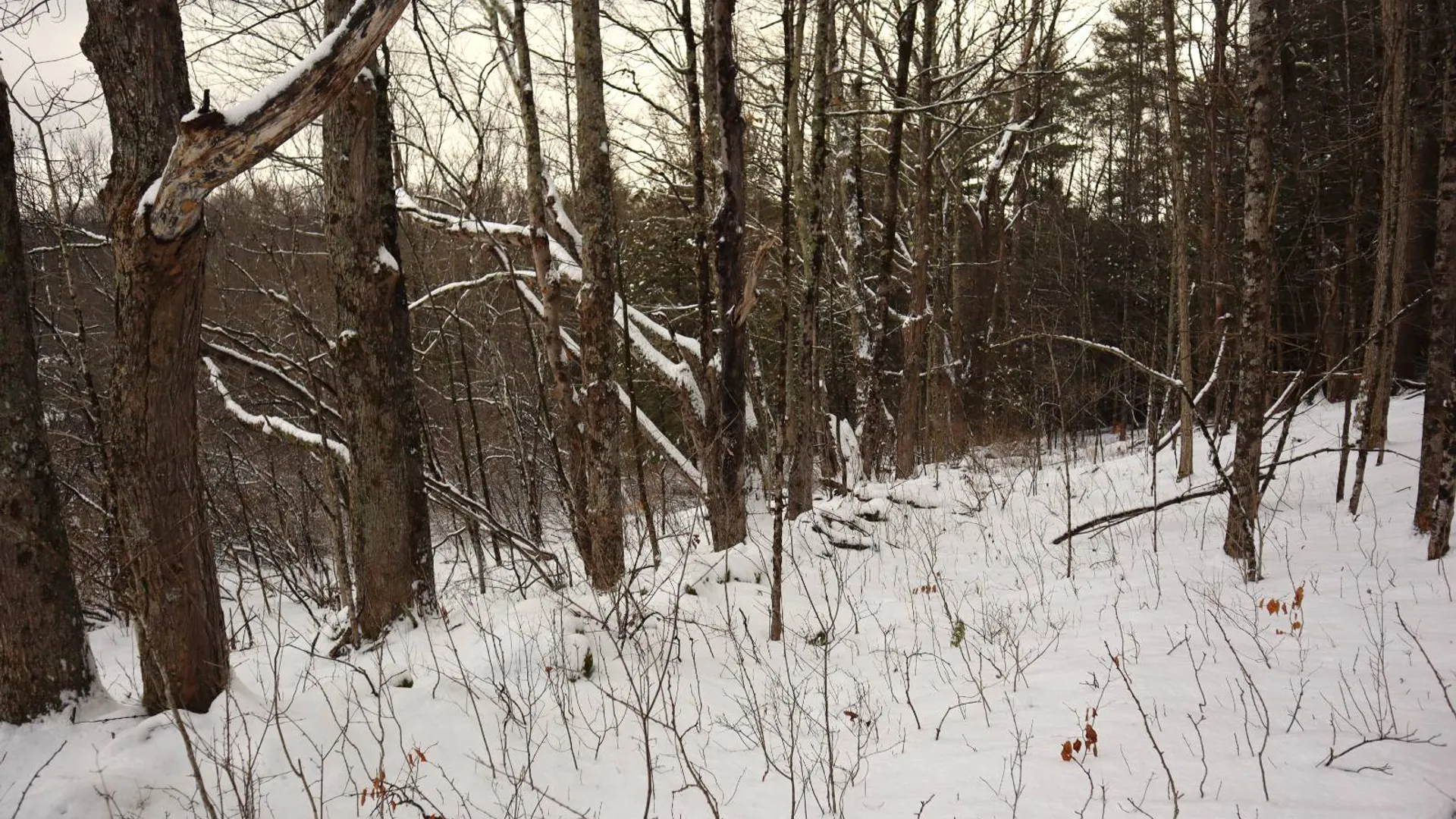 Property at 0 Wade Road, Whitehall, NY 12887 11