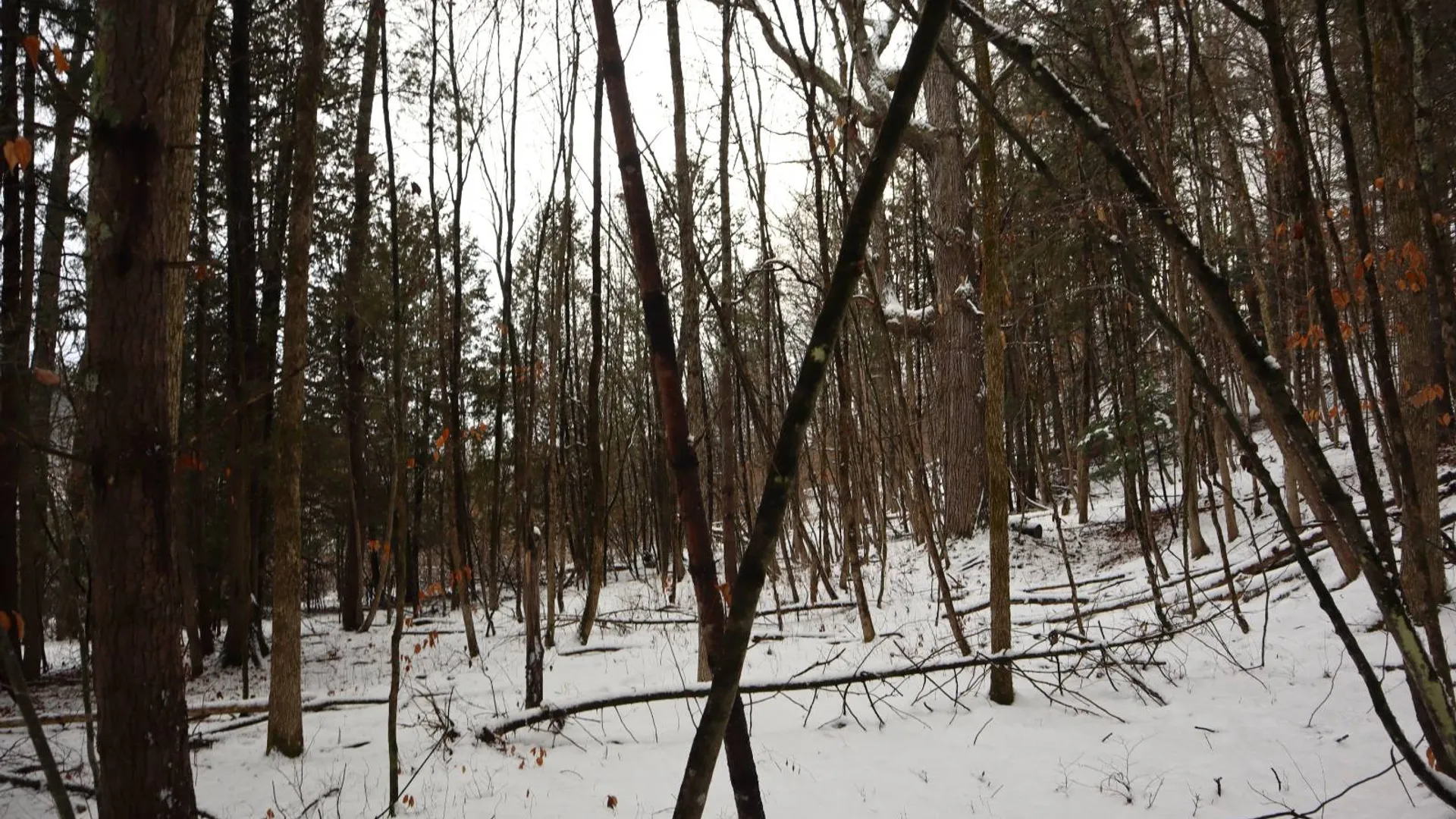 Property at 0 Wade Road, Whitehall, NY 12887 12