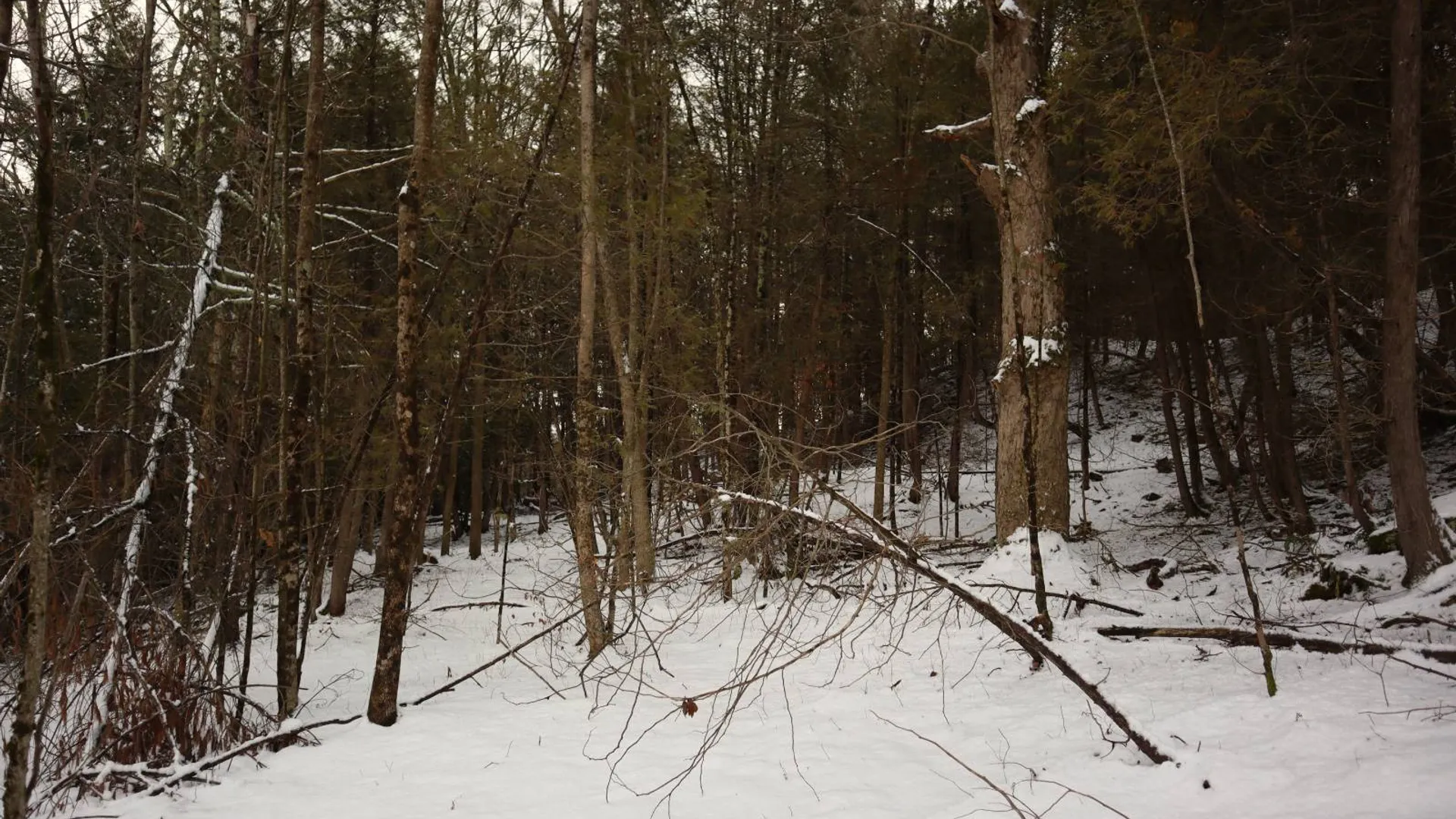 Property at 0 Wade Road, Whitehall, NY 12887 13