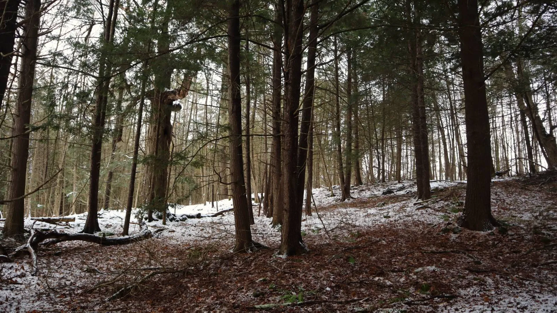 Property at 0 Wade Road, Whitehall, NY 12887 14