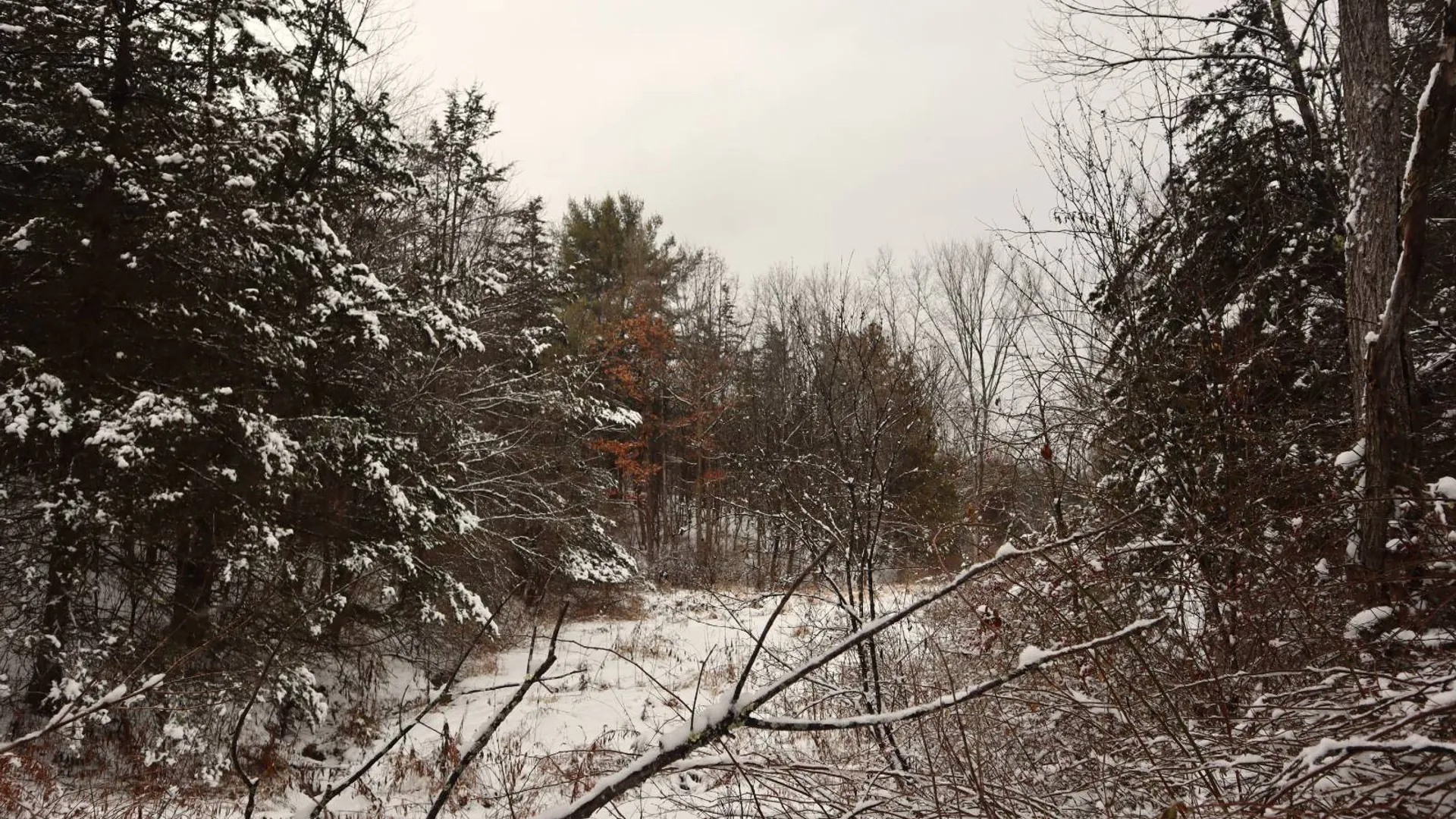 Property at 0 Wade Road, Whitehall, NY 12887 15