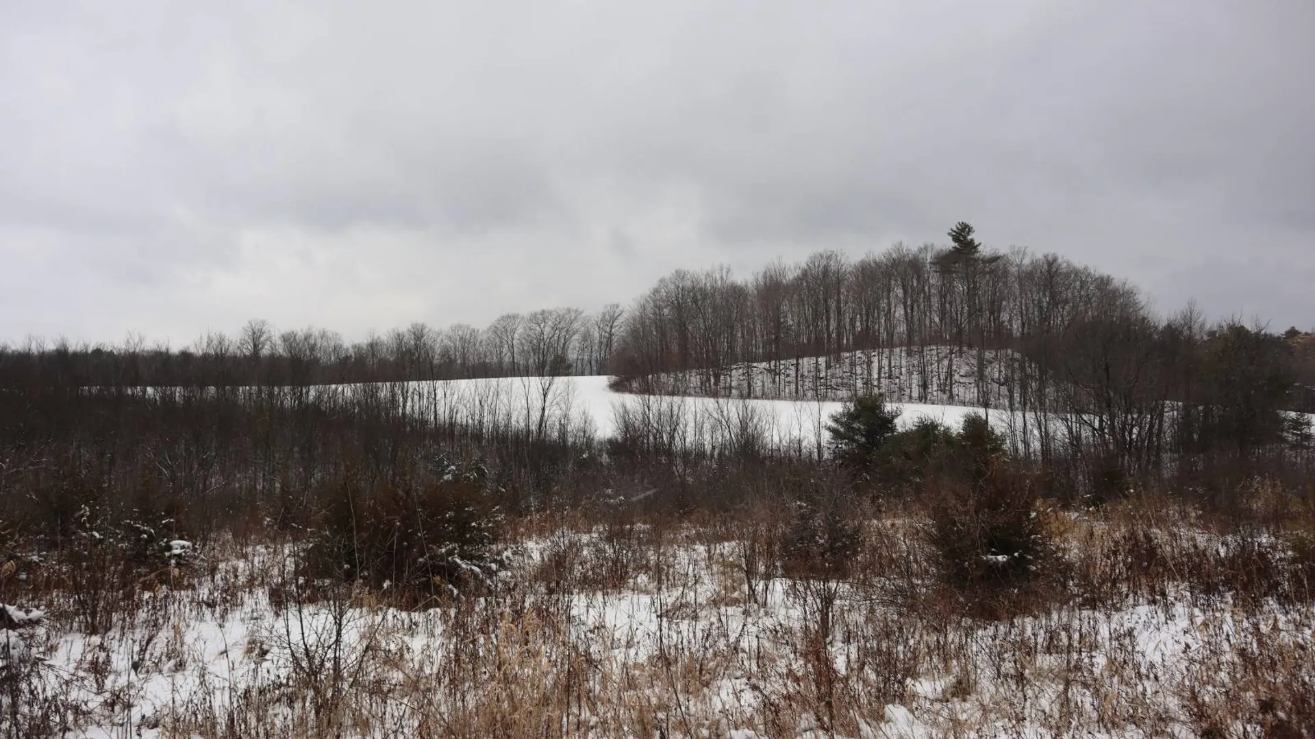 Property at 0 Wade Road, Whitehall, NY 12887 16